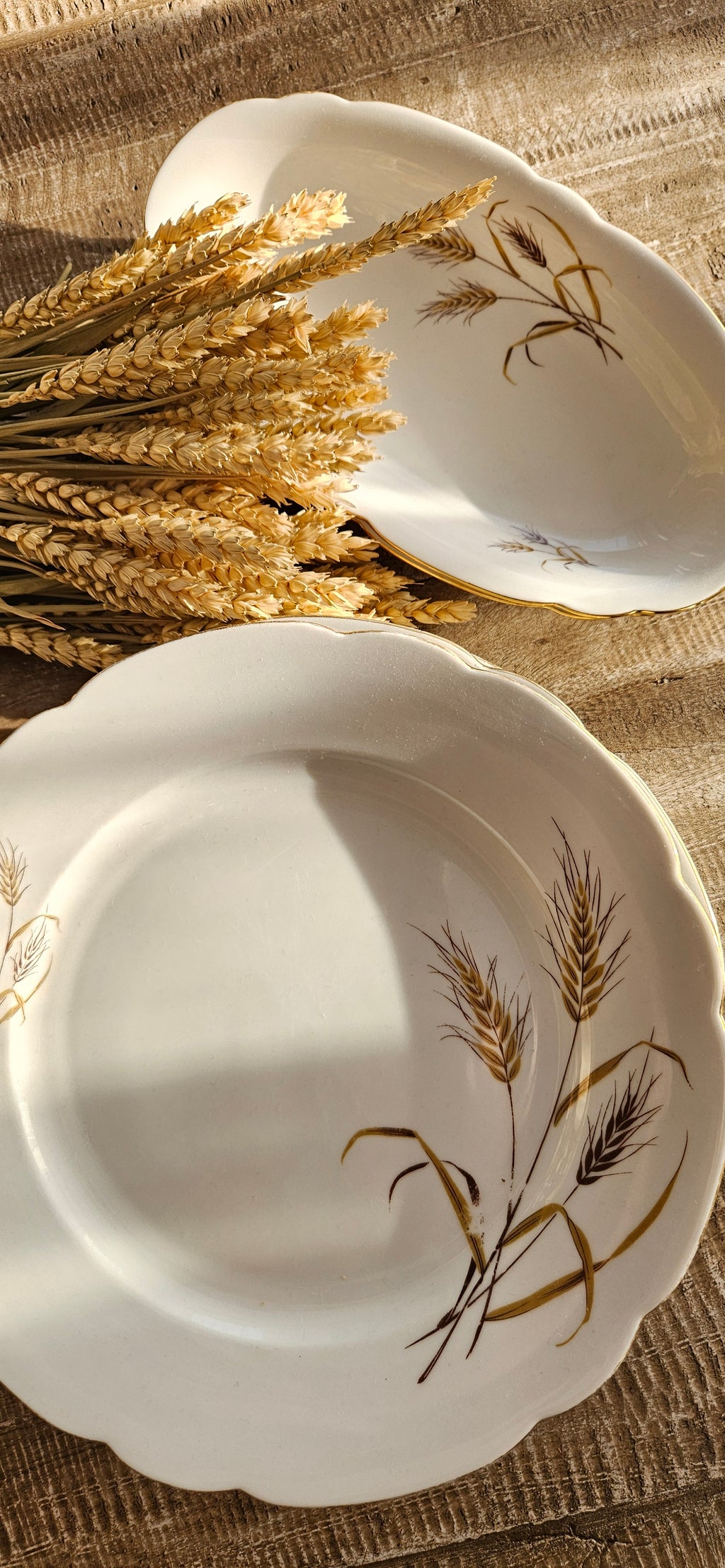 Lot 6 assiettes + 2  coupelles en porcelaine Seltmann Weiden