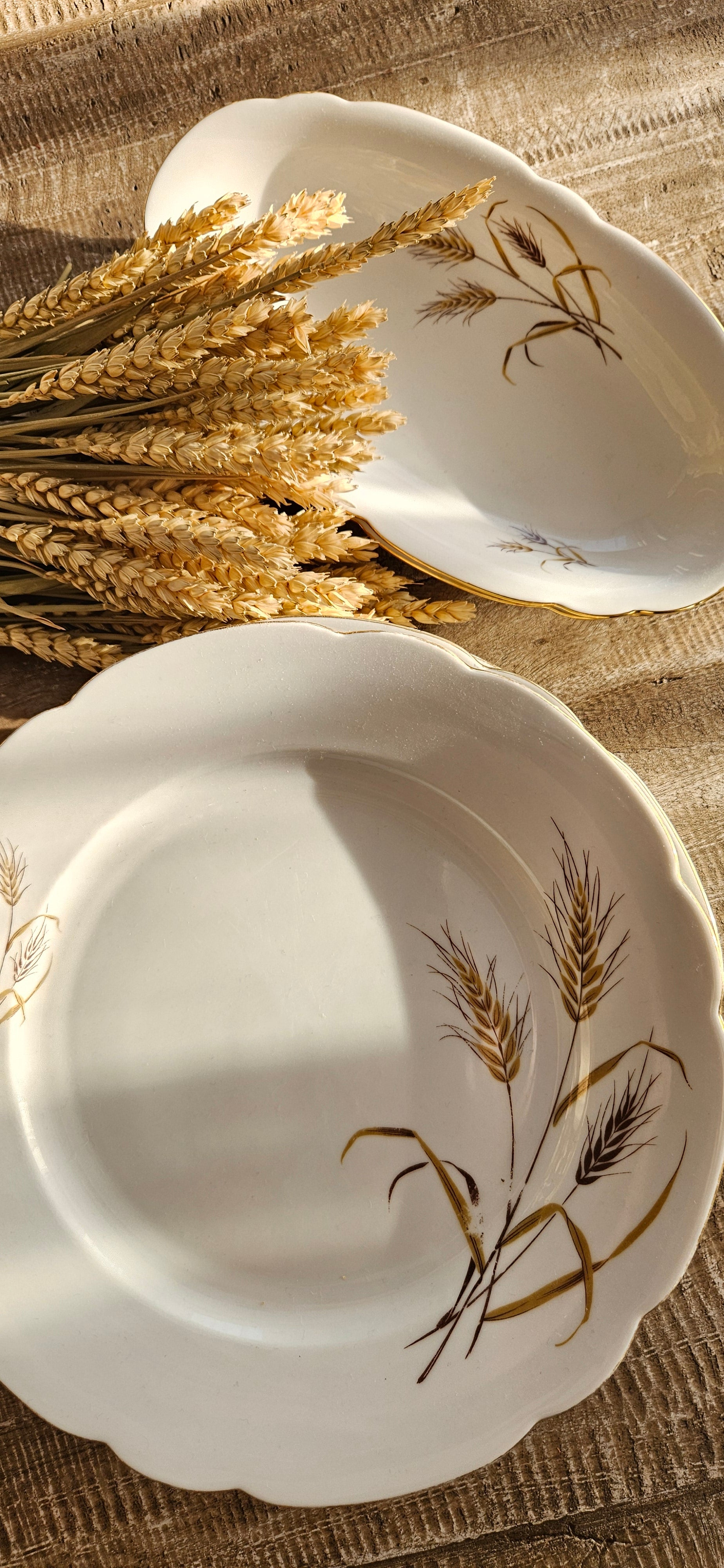 Lot 6 assiettes + 2  coupelles en porcelaine Seltmann Weiden
