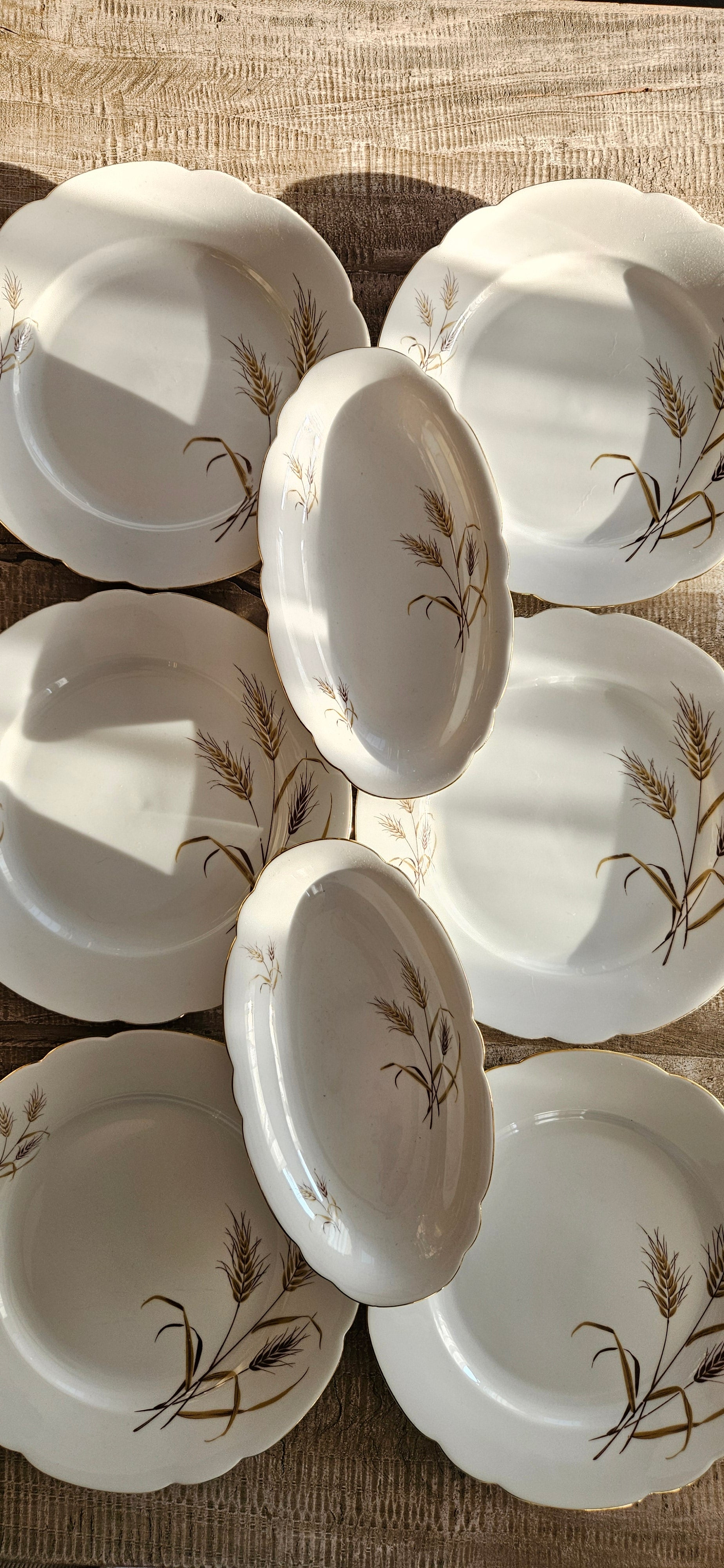 Lot 6 assiettes + 2  coupelles en porcelaine Seltmann Weiden