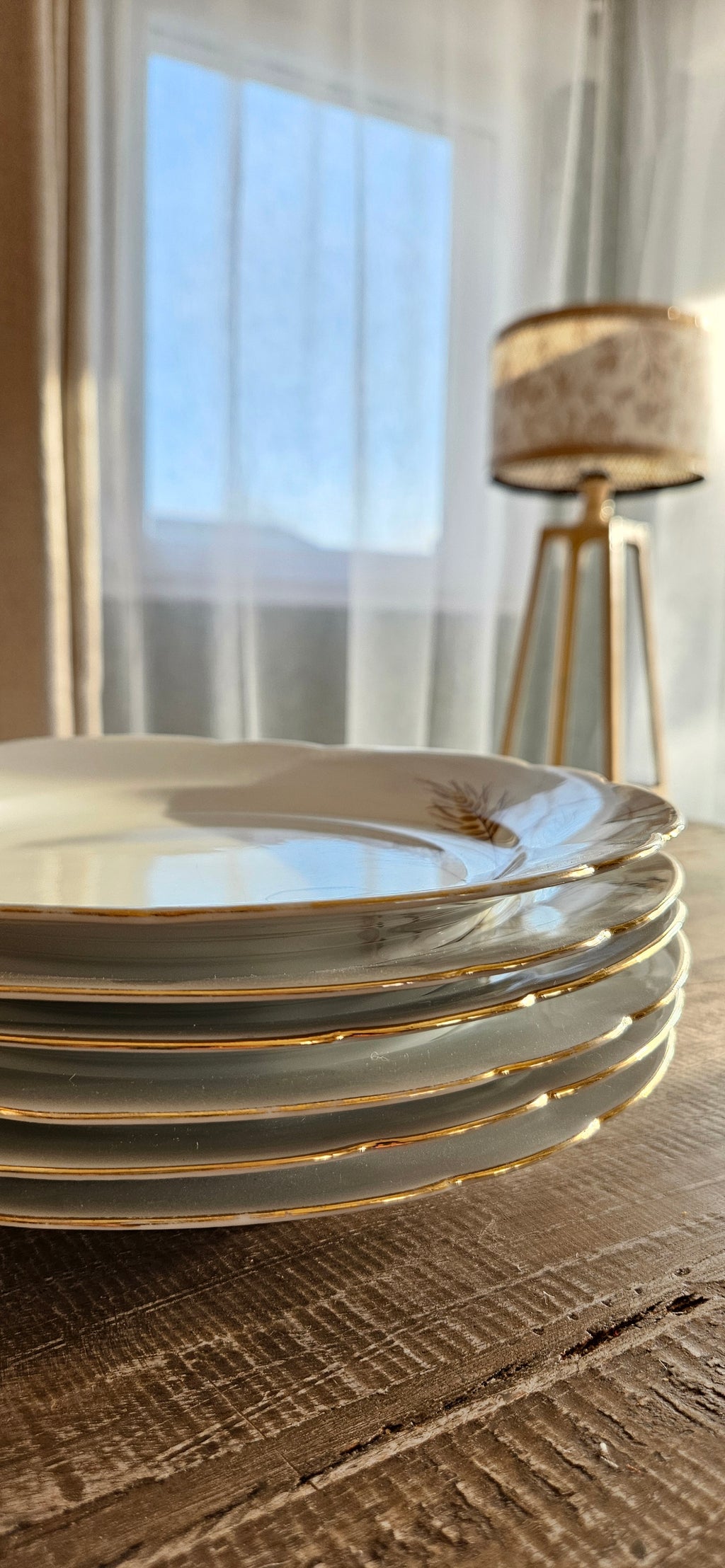 Lot 6 assiettes + 2  coupelles en porcelaine Seltmann Weiden