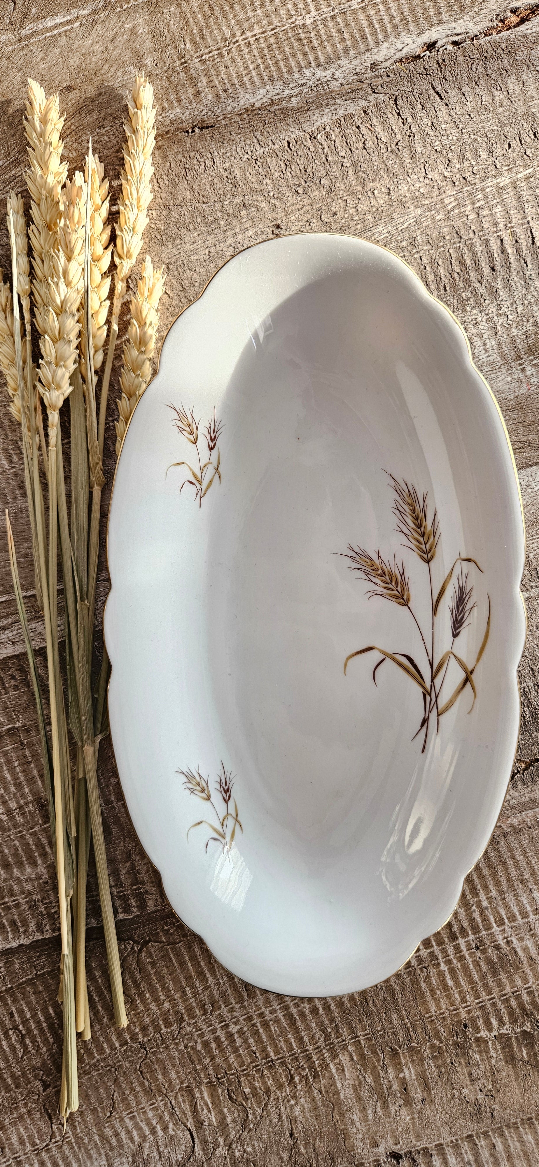 Lot 6 assiettes + 2  coupelles en porcelaine Seltmann Weiden
