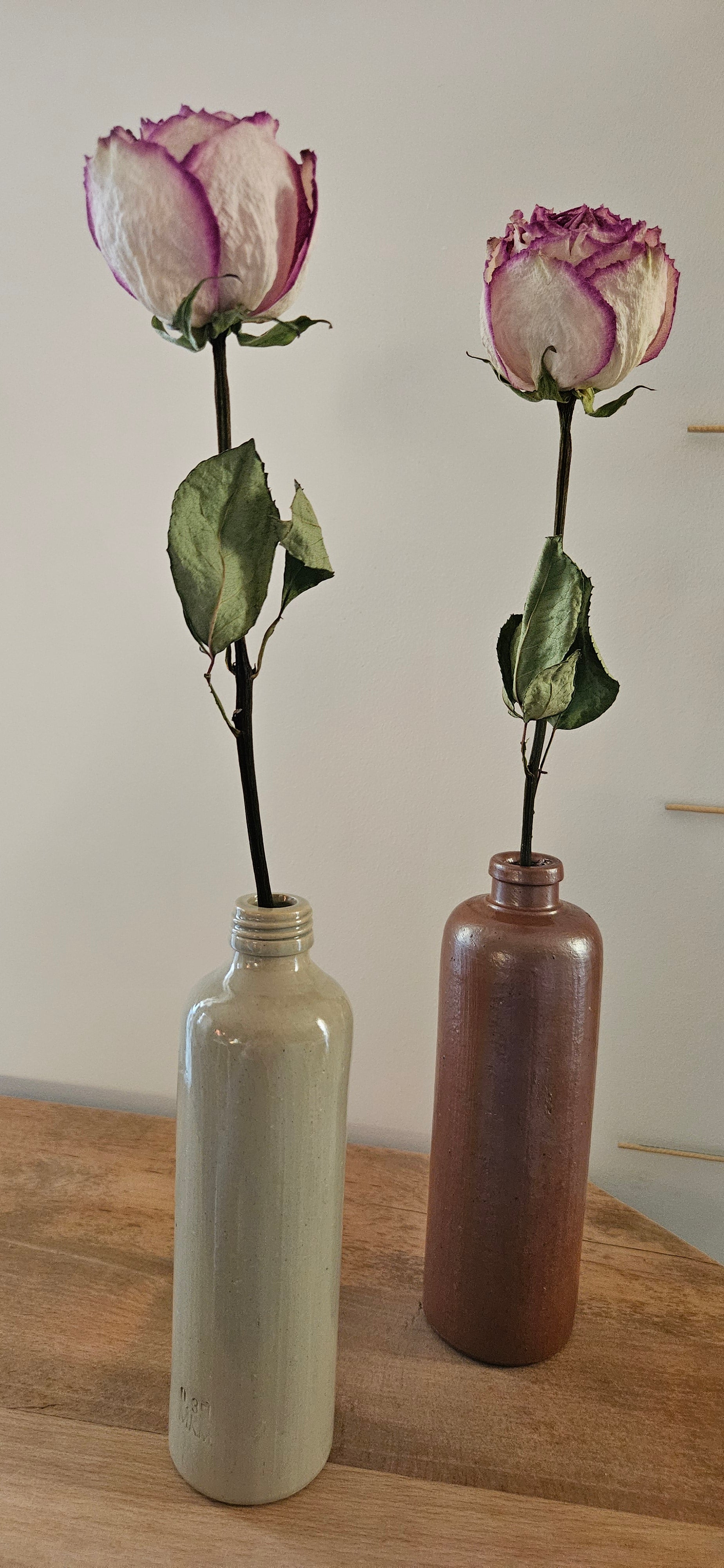 Duo de bouteilles en grès