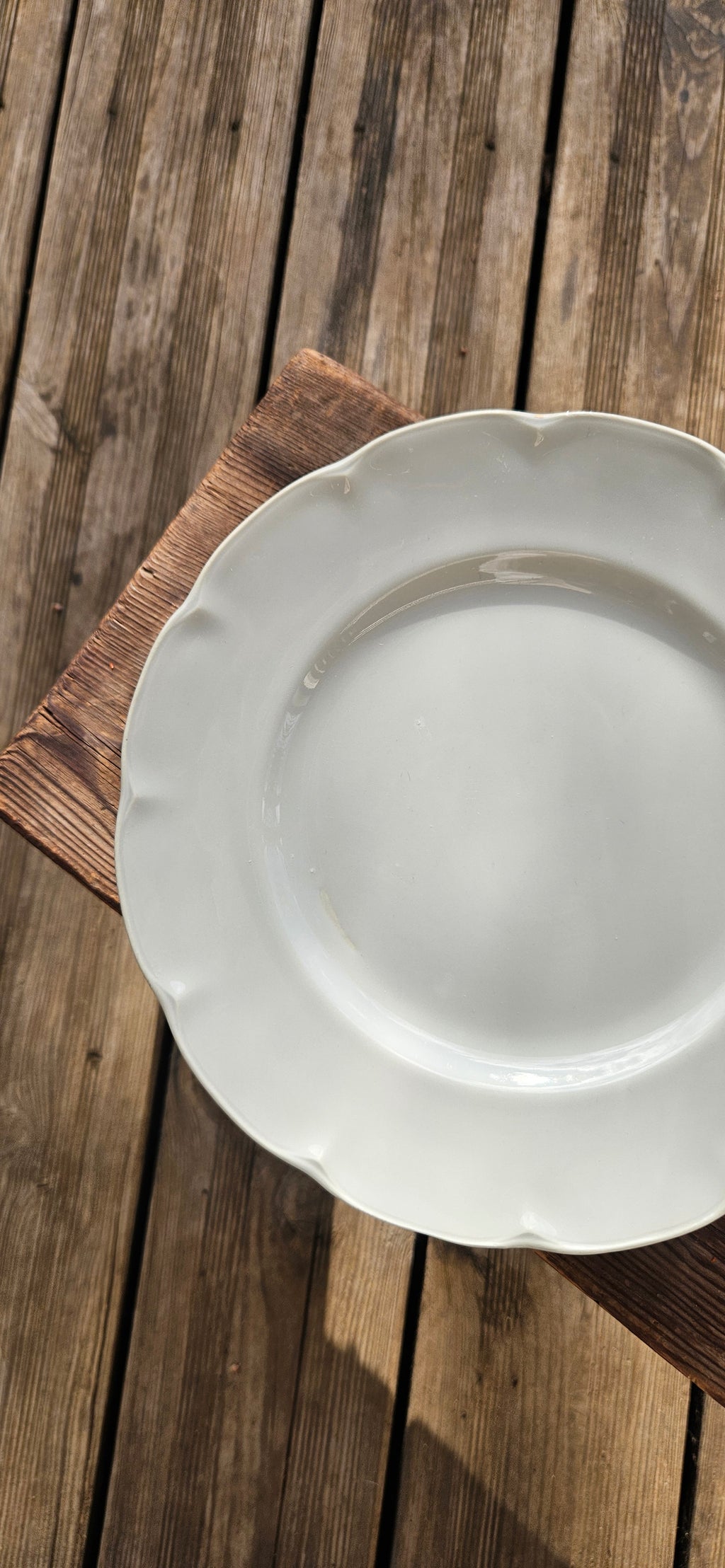 Lot 4 assiettes porcelaine gris-vert céladon - Théodore Haviland Limoges