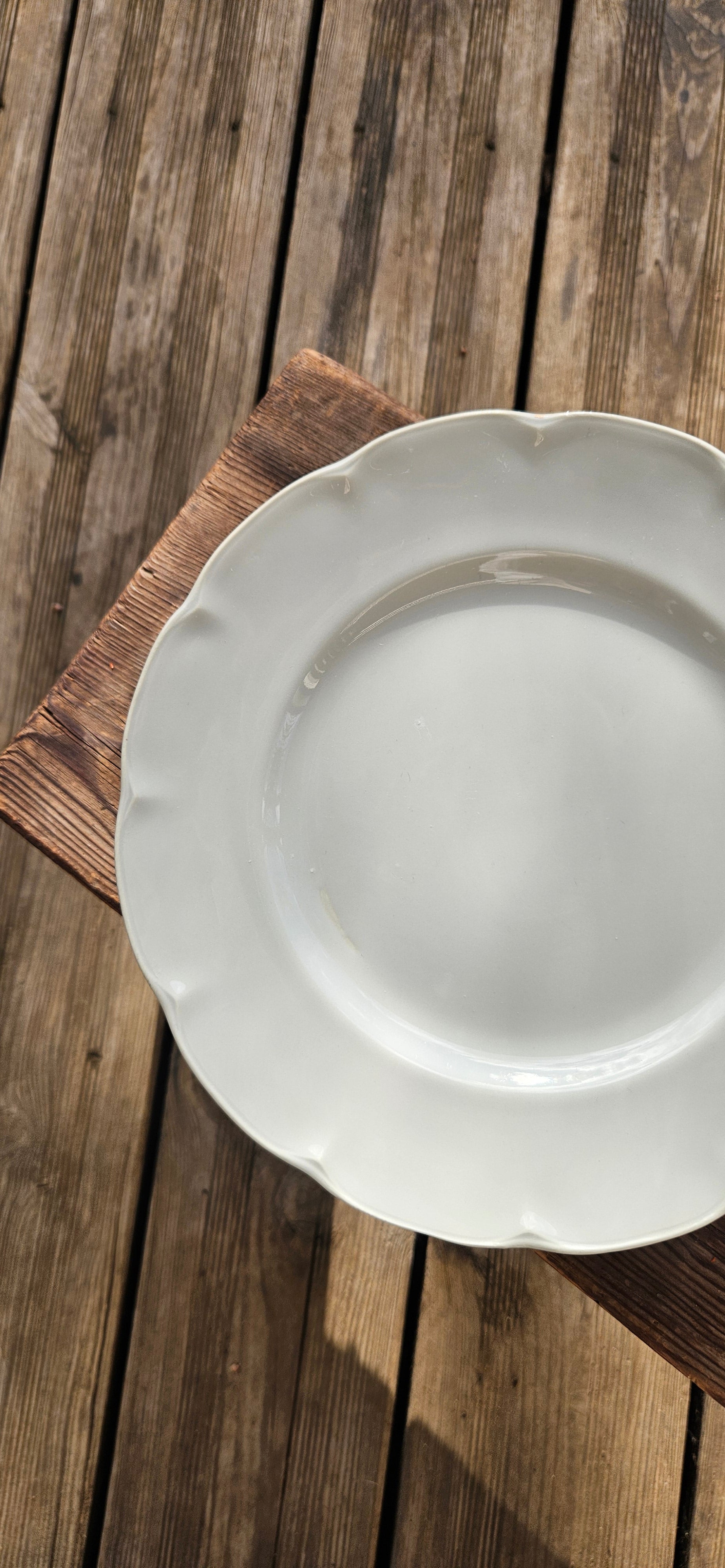 Lot 4 assiettes porcelaine gris-vert céladon - Théodore Haviland Limoges