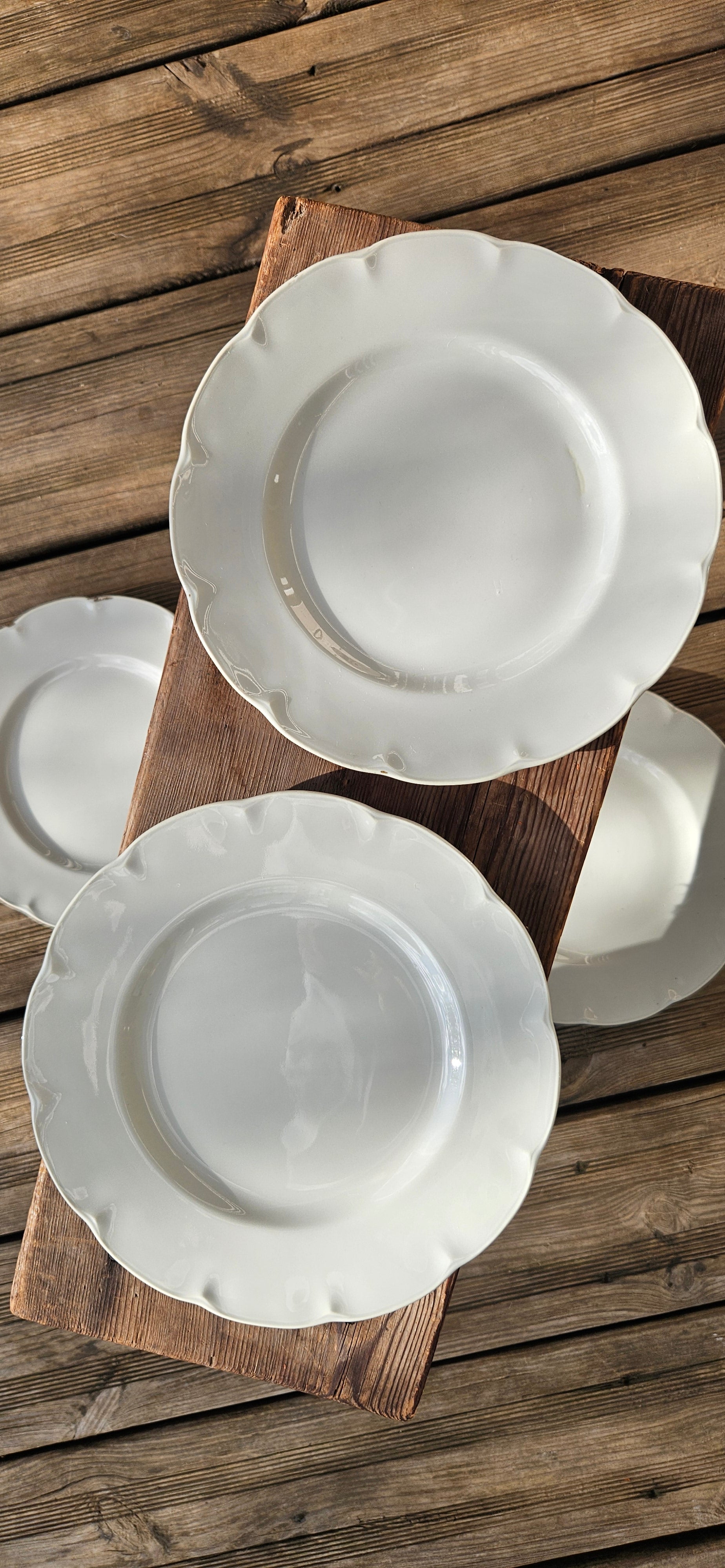 Lot 4 assiettes porcelaine gris-vert céladon - Théodore Haviland Limoges