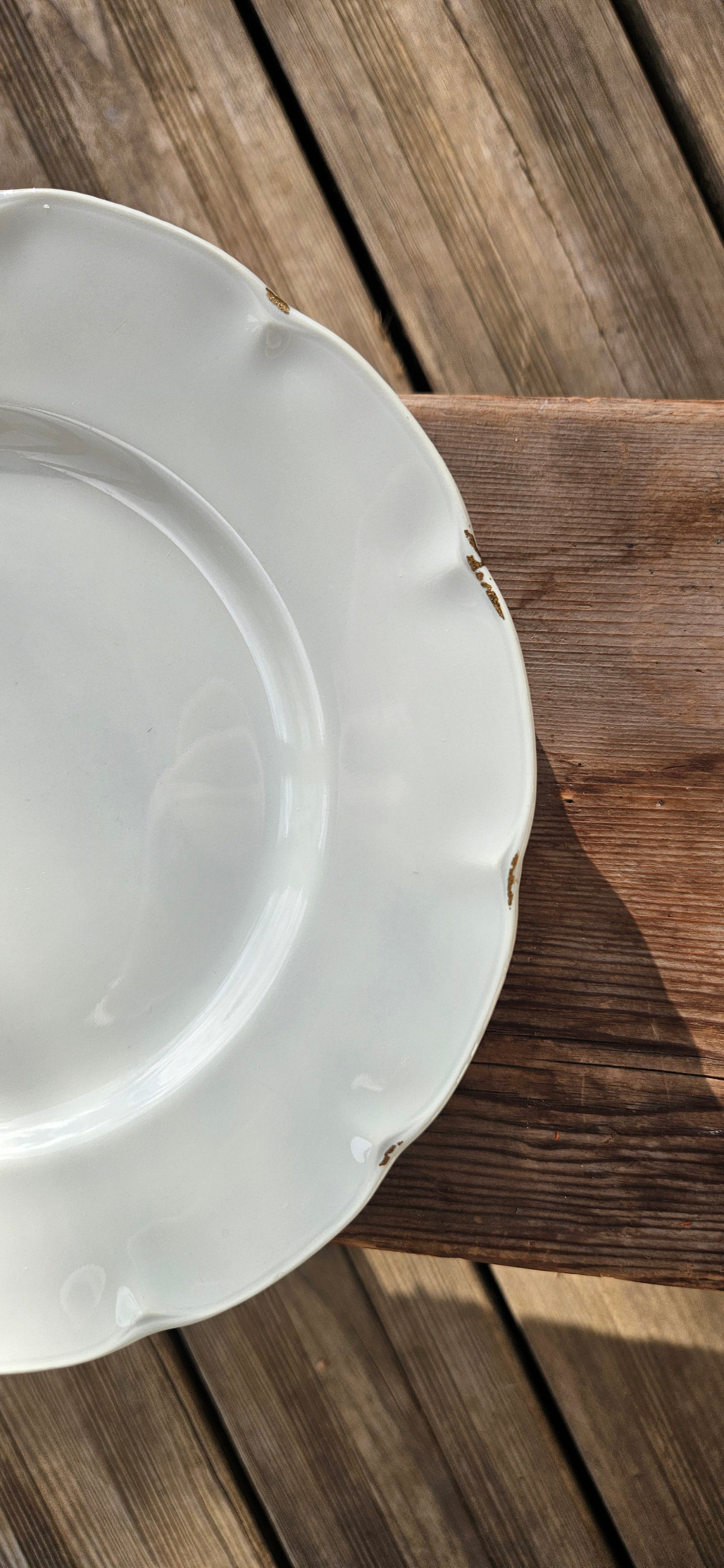 Lot 4 assiettes porcelaine gris-vert céladon - Théodore Haviland Limoges