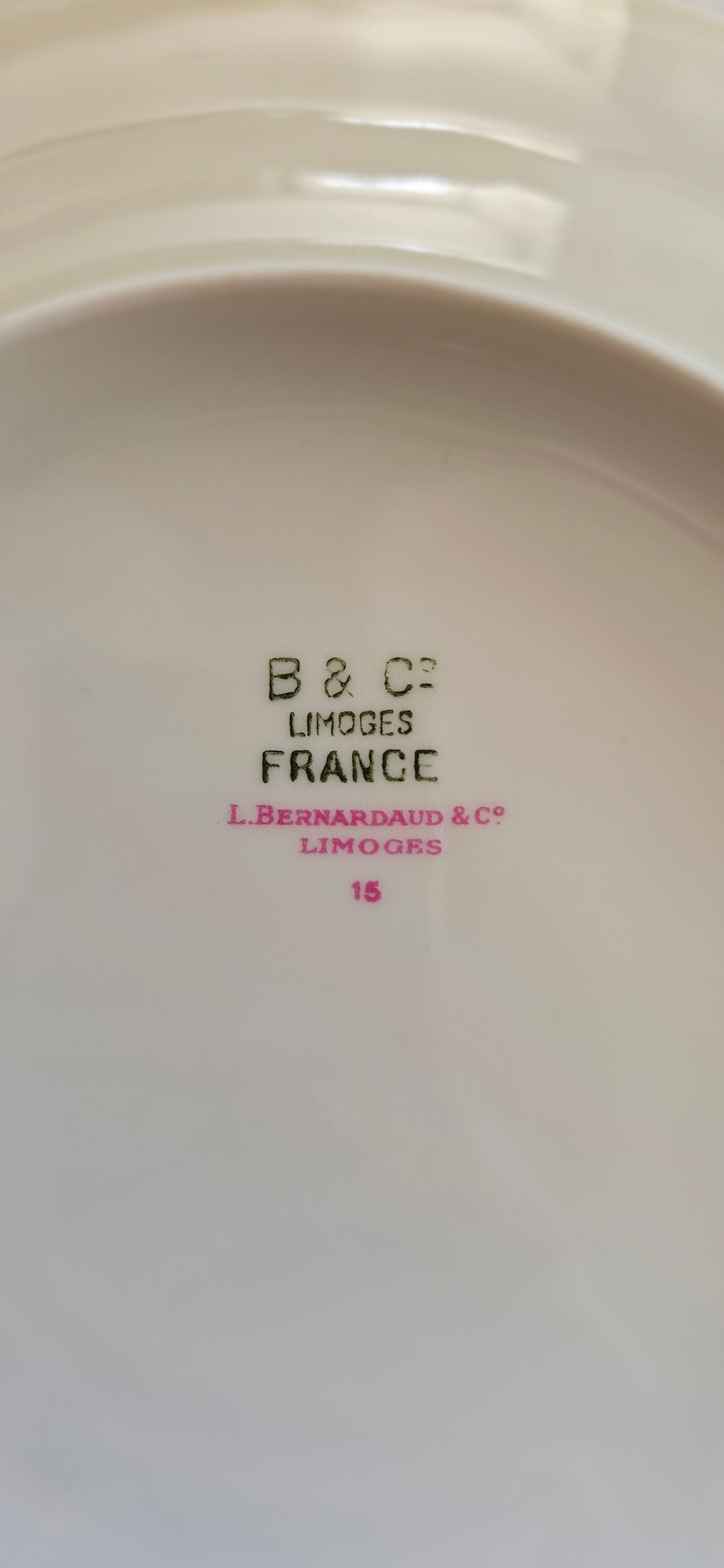 Lot exceptionnel 8 assiettes à dessert maison Bernardaud Limoges