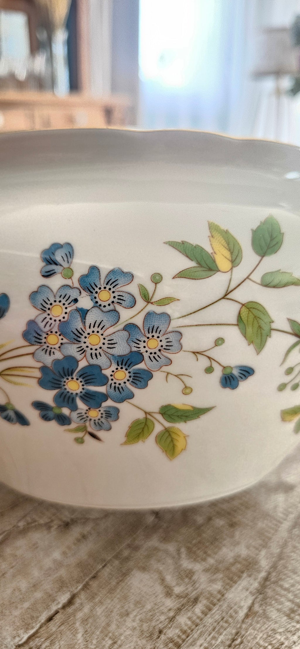 Magnifique soupière en céramique de Bavière