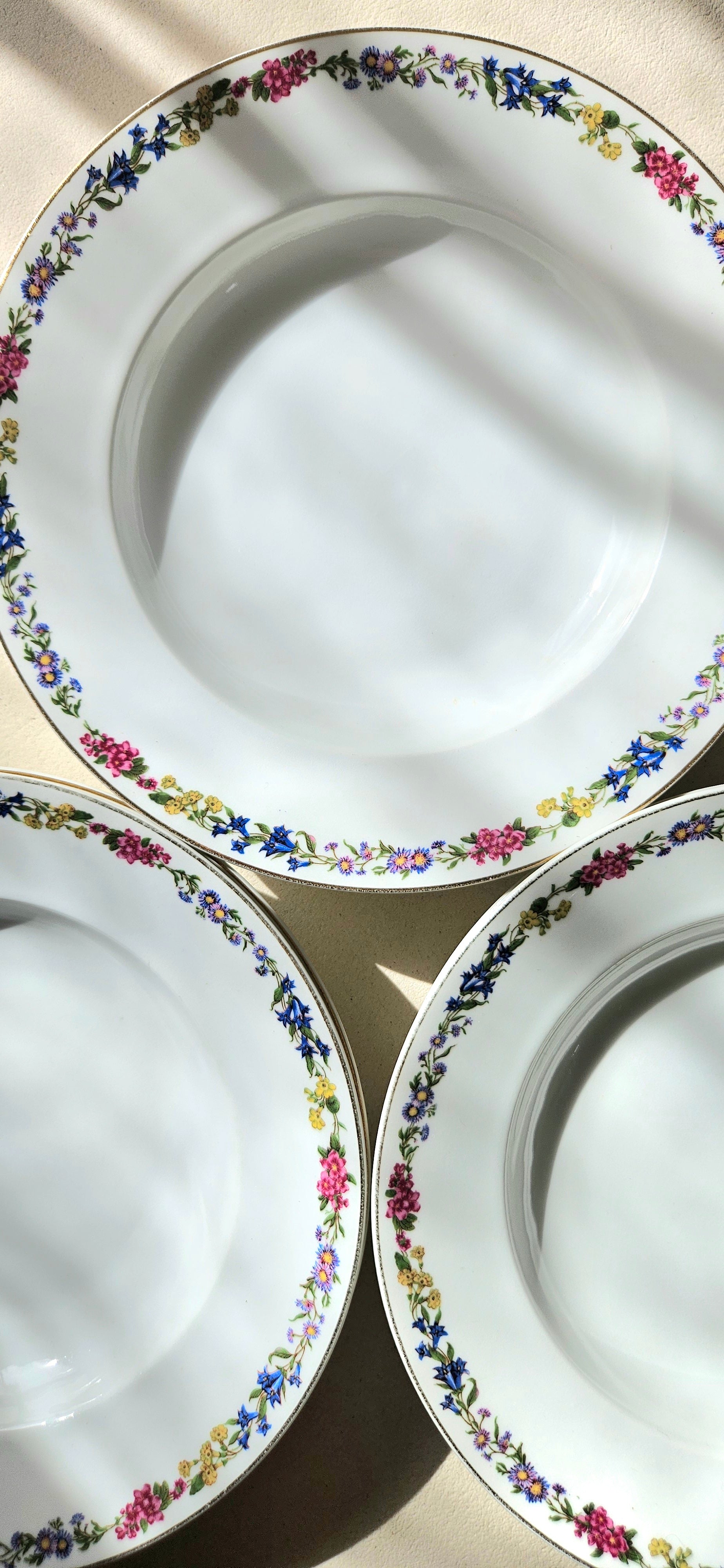 assiette creuse ancienne en porcelaine Langenthal Suisse à décor floral