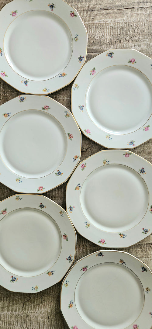 Assiette ancienne à fleurs pastel – porcelaine française vintage