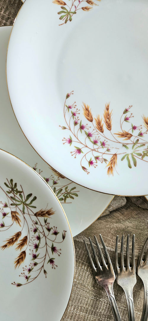 Assiette vintage française en porcelaine Berry – décor floral champêtre