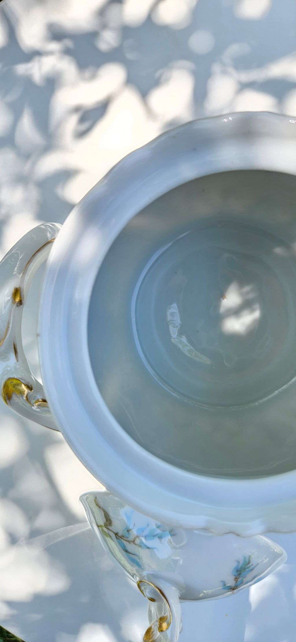 Cafetière et sucrier anciens JPL Limoges en porcelaine Art Nouveau, décor floral bleu et doré