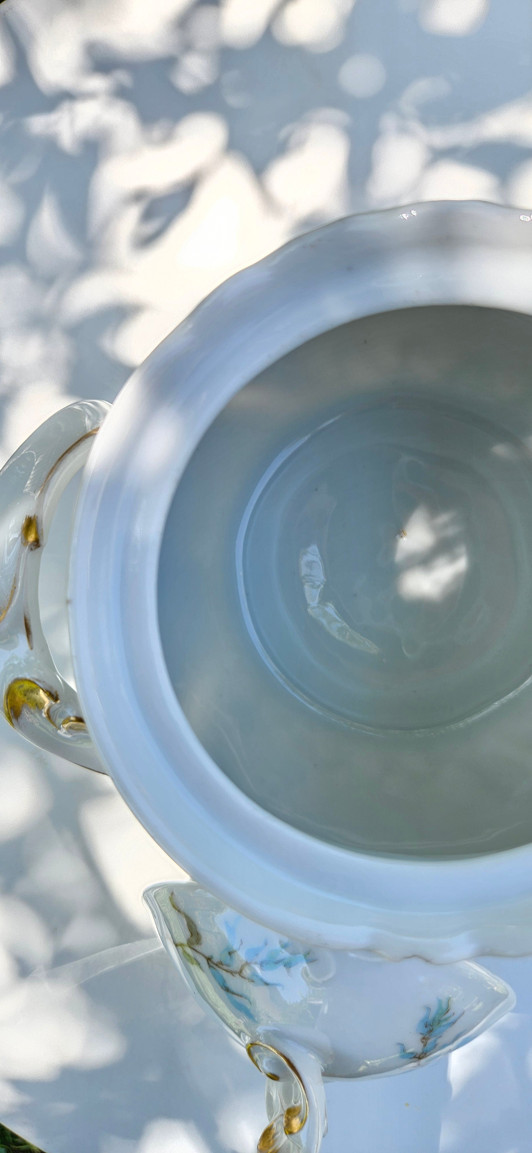 Cafetière et sucrier anciens JPL Limoges en porcelaine Art Nouveau, décor floral bleu et doré