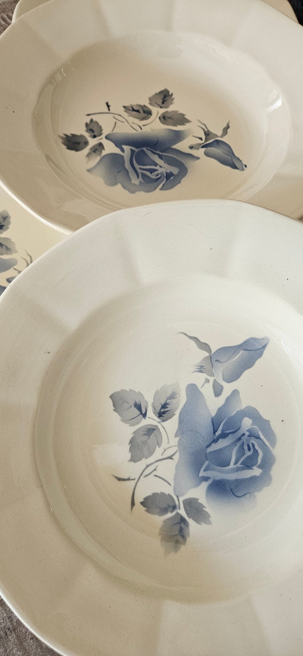 Assiette creuse ancienne Digoin Sarreguemines aux roses bleues