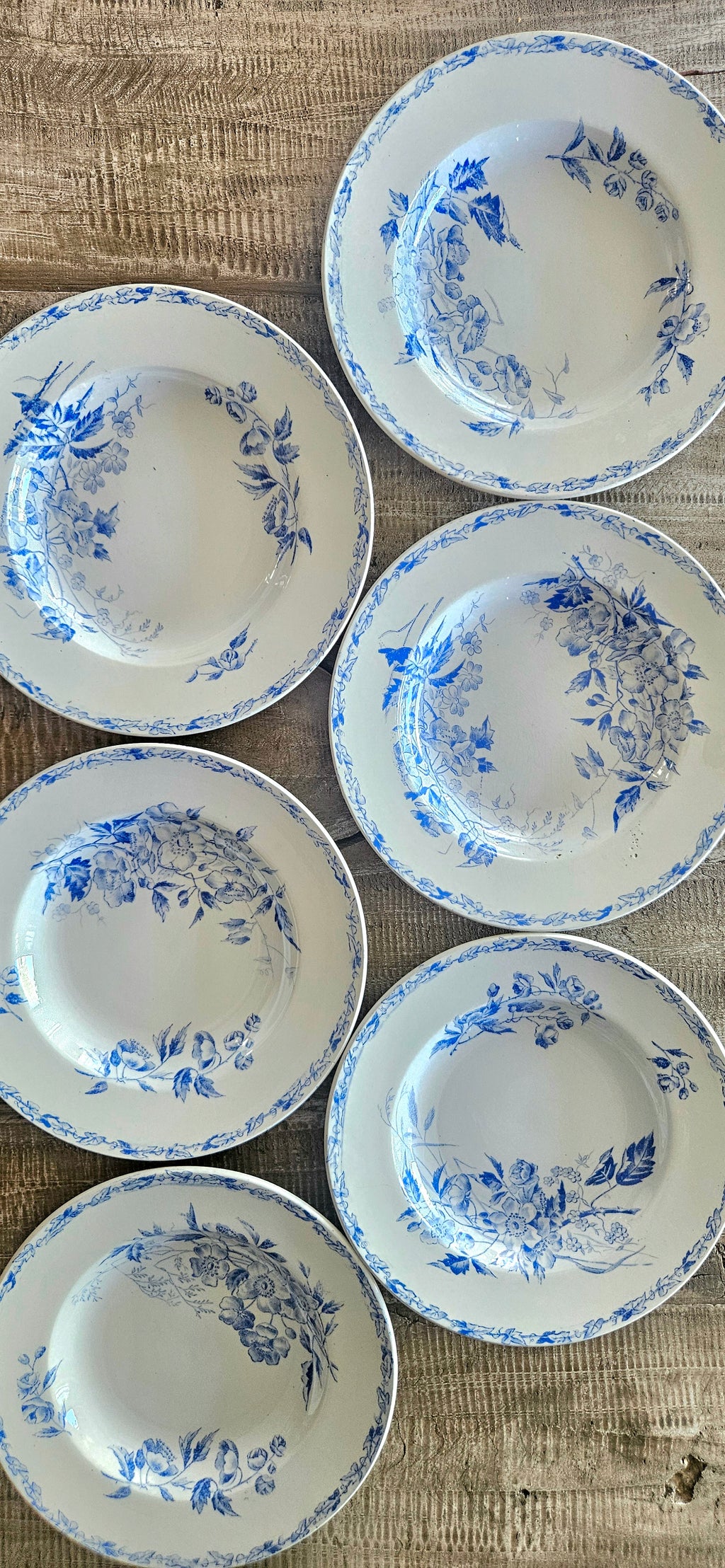 Assiette creuse ancienne Terre de Fer Kate Crown 23cm