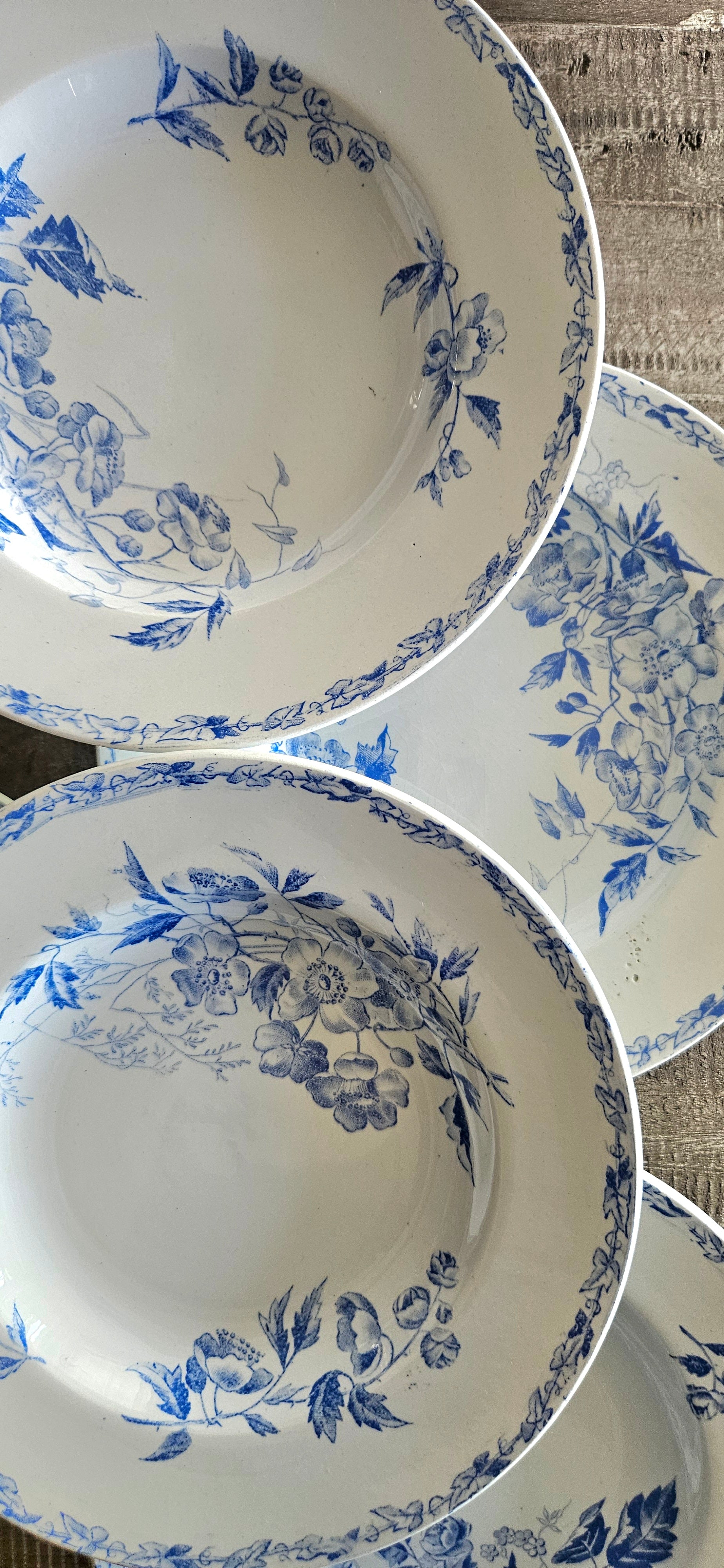 Assiette creuse ancienne Terre de Fer Kate Crown 23cm
