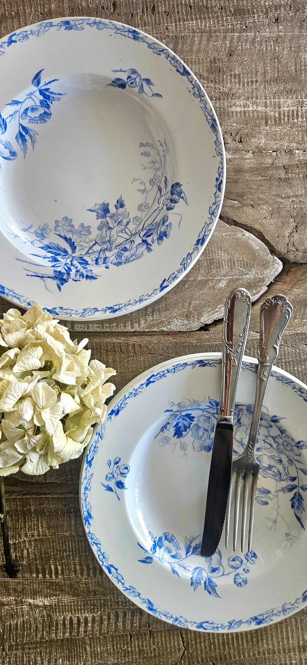 Assiette creuse ancienne Terre de Fer Kate Crown 23cm