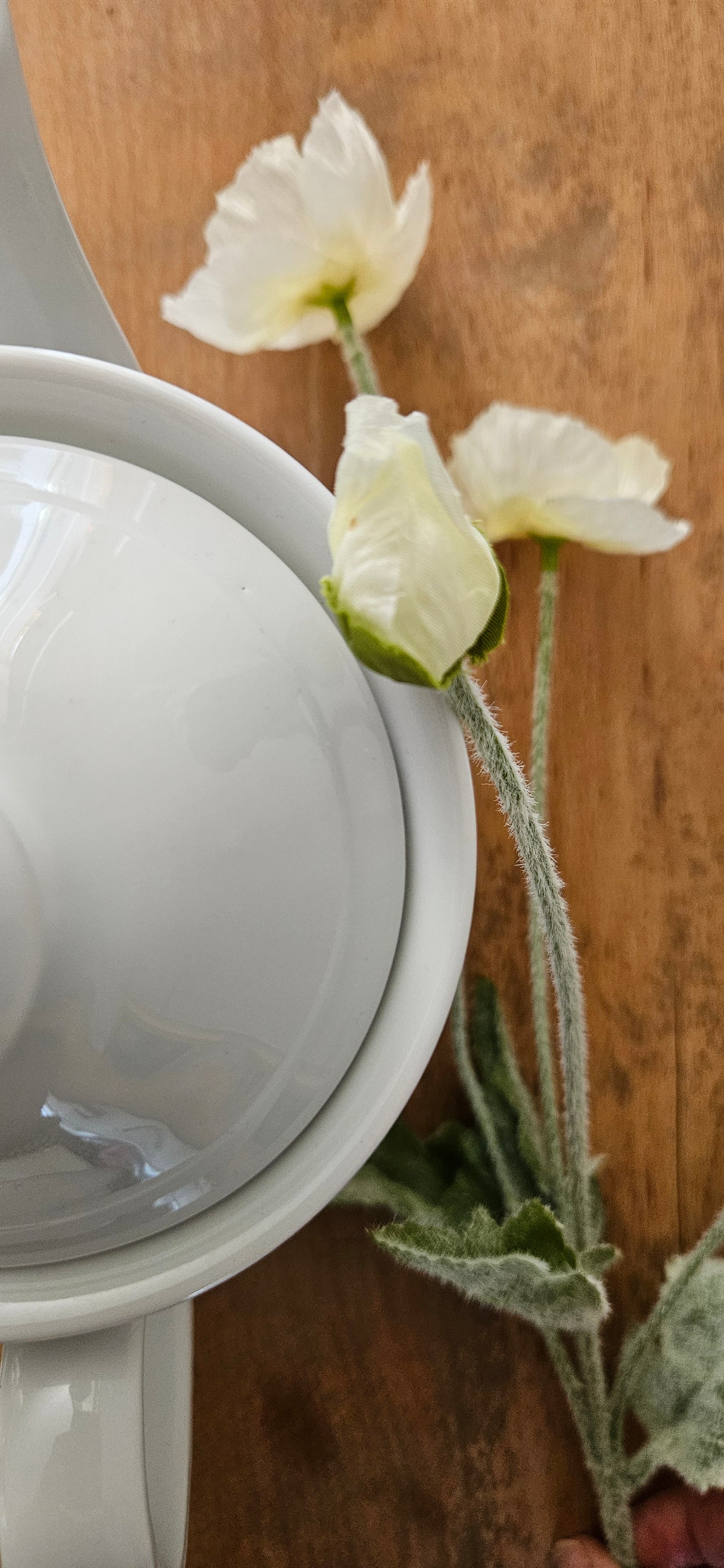 Cafetière ancienne Winterling Bavaria blanche – Porcelaine allemande vintage 1L