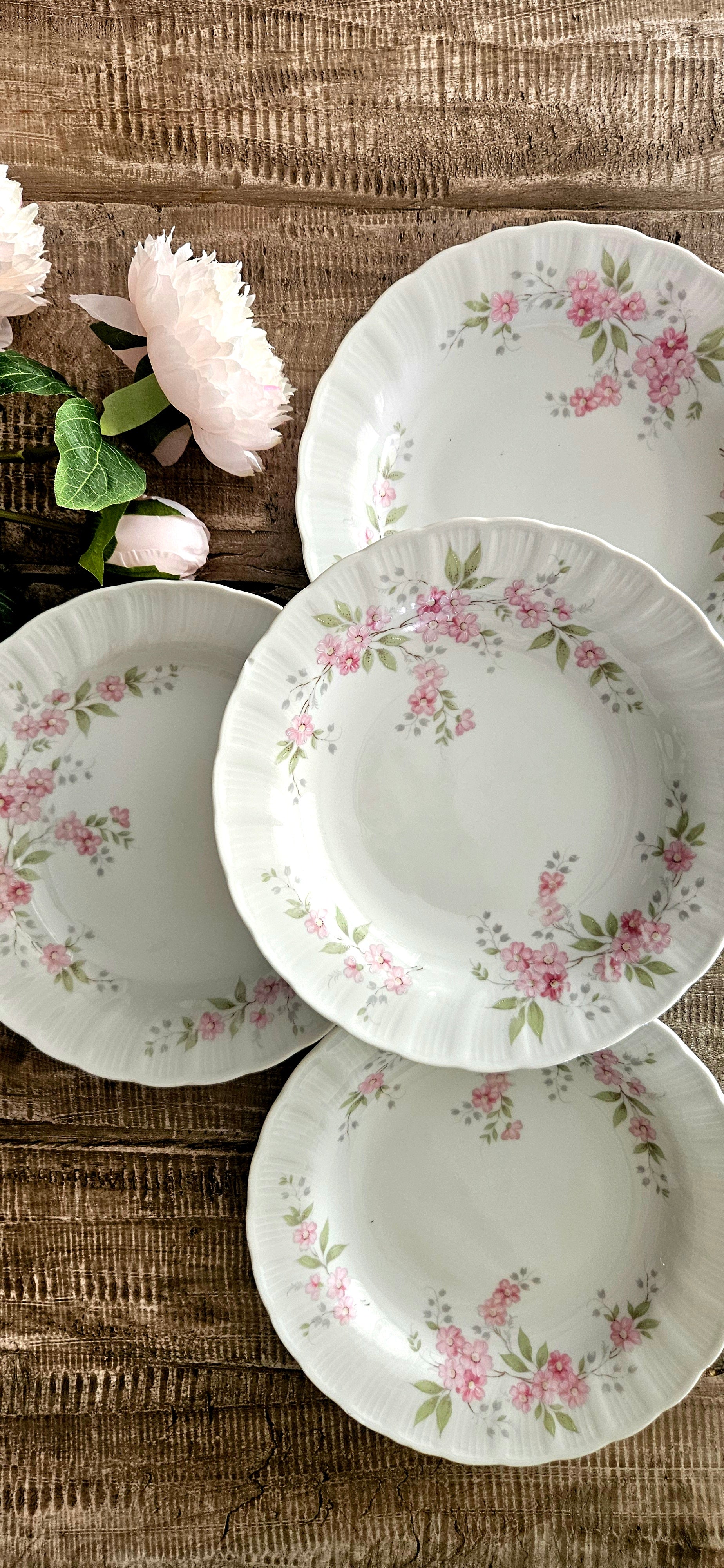 Lot 4 assiettes creuses en porcelaine de Bavière