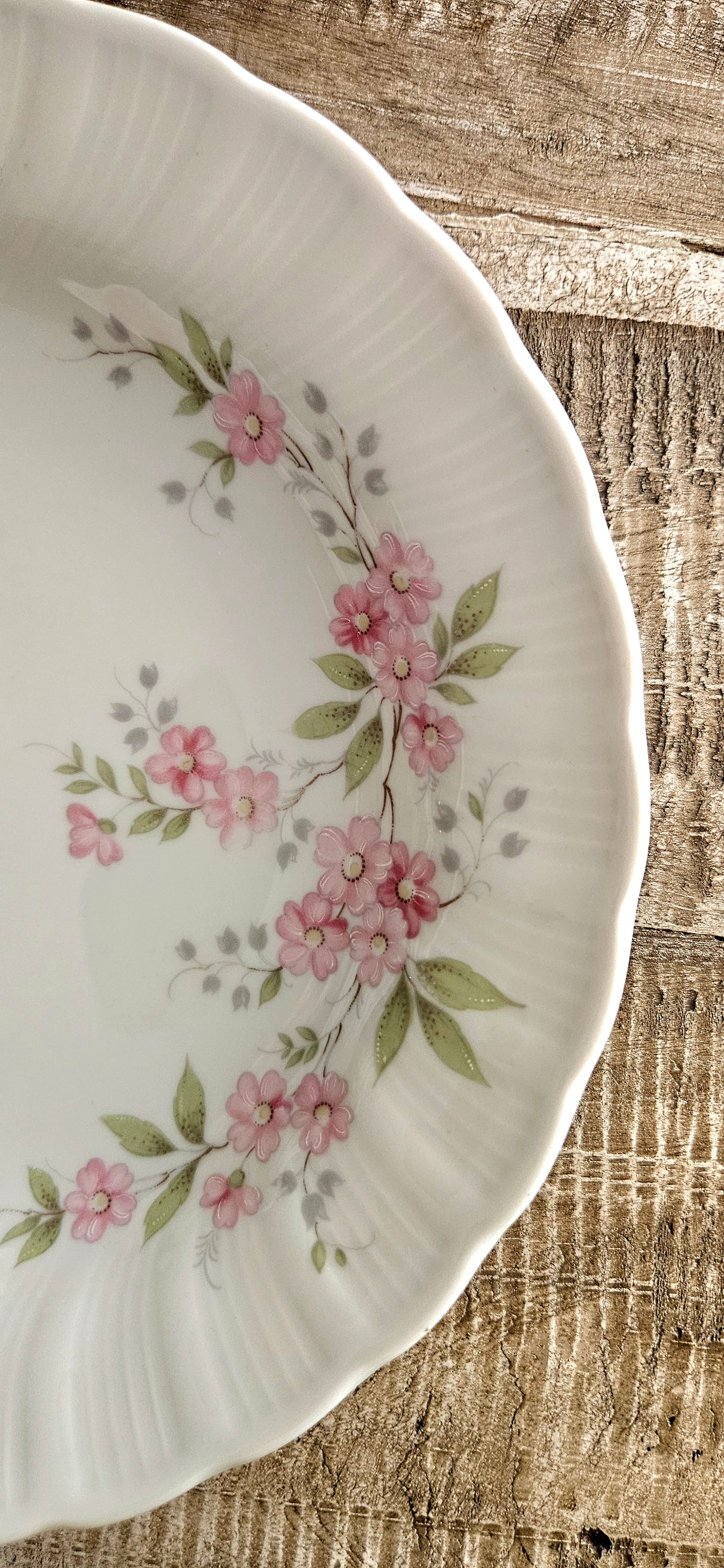 Lot 4 assiettes creuses en porcelaine de Bavière