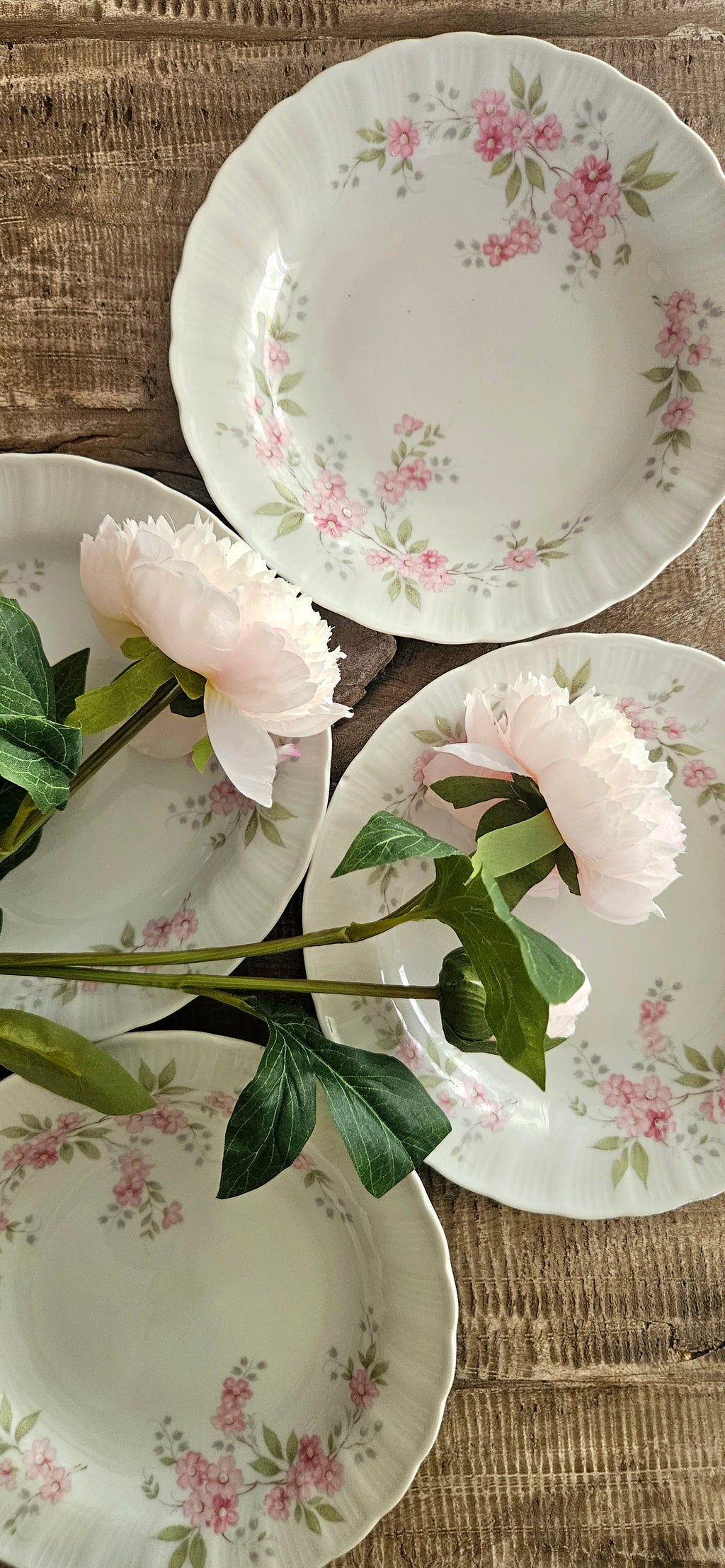 Lot 4 assiettes creuses en porcelaine de Bavière
