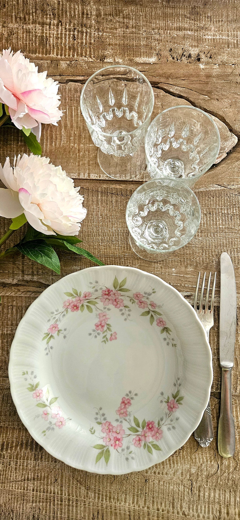 Lot 4 assiettes creuses en porcelaine de Bavière