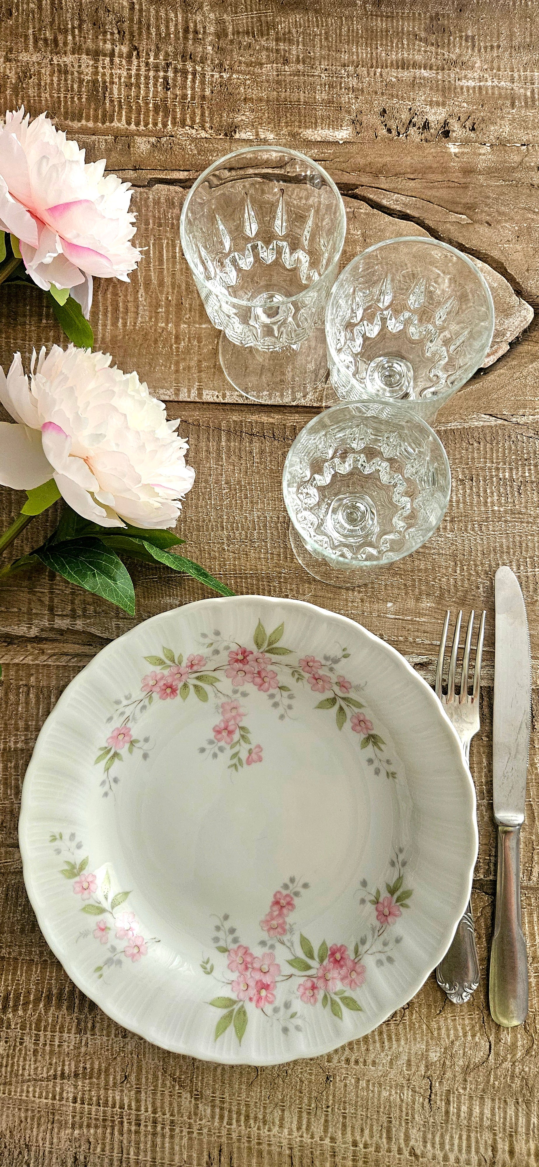 Lot 4 assiettes creuses en porcelaine de Bavière