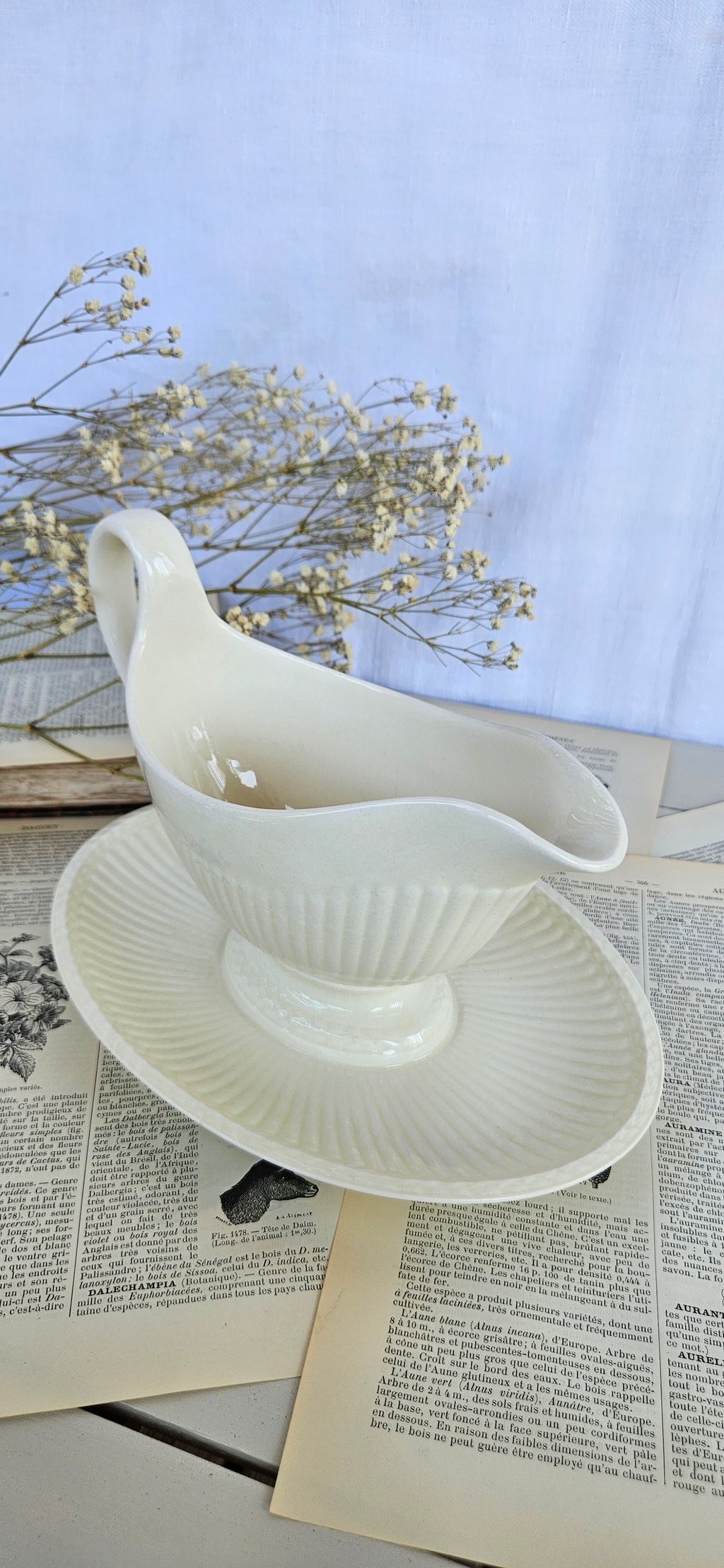 Saucière ancienne Wedgwood Edme avec son dormant