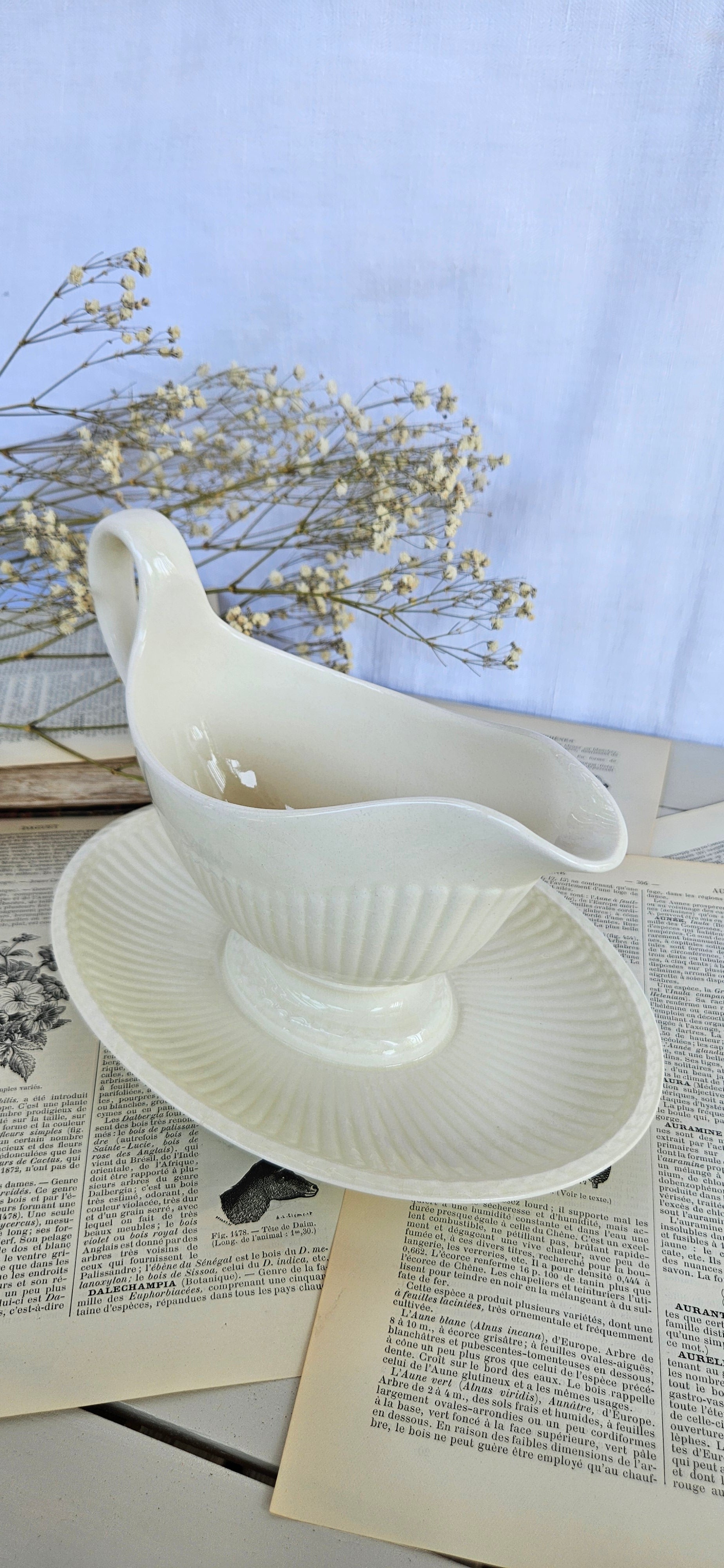Saucière ancienne Wedgwood Edme avec son dormant