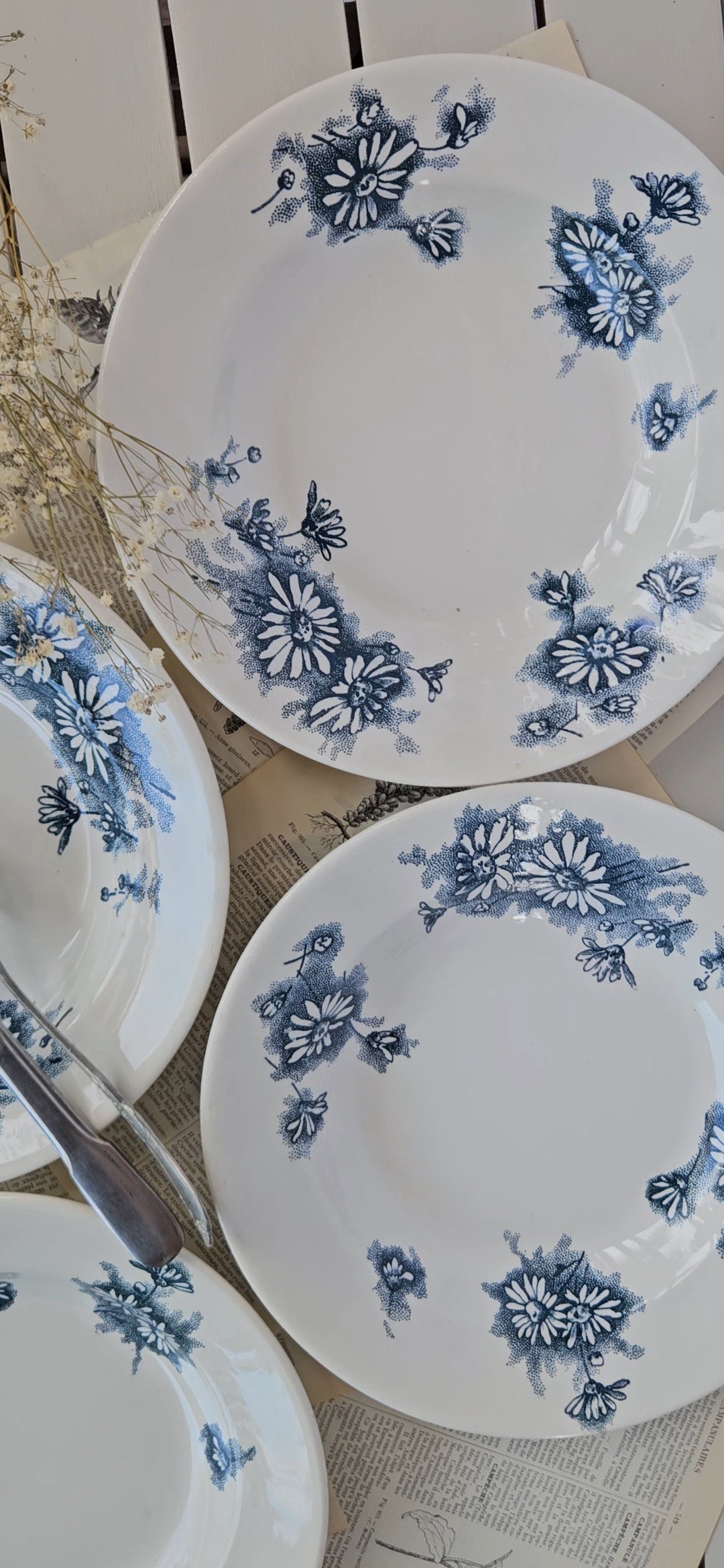 Assiette creuse Faïencerie Nouvelle Givors modèle Marguerite – Terre de fer
