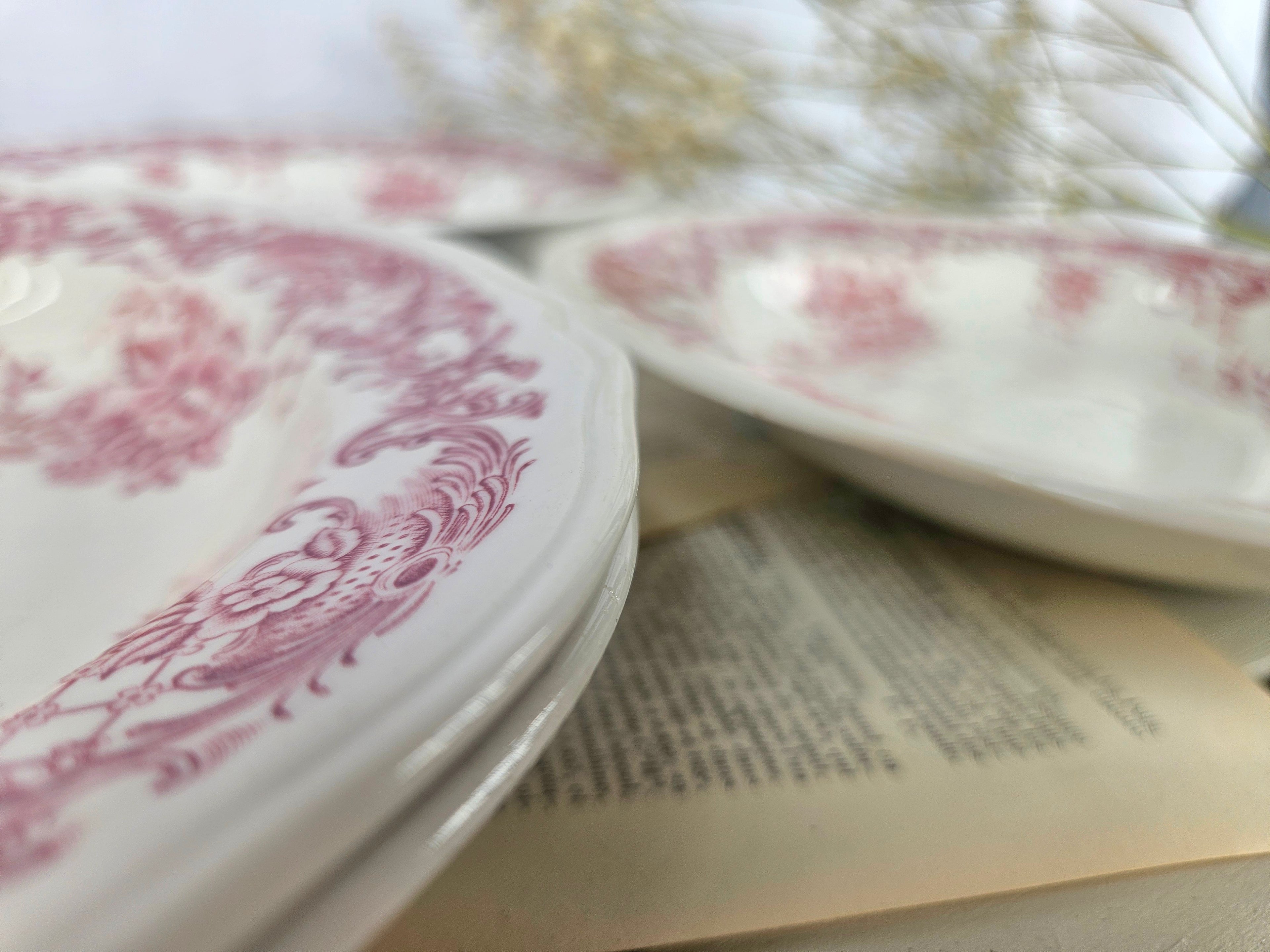 Lot de 5 assiettes creuses Villeroy & Boch Valeria