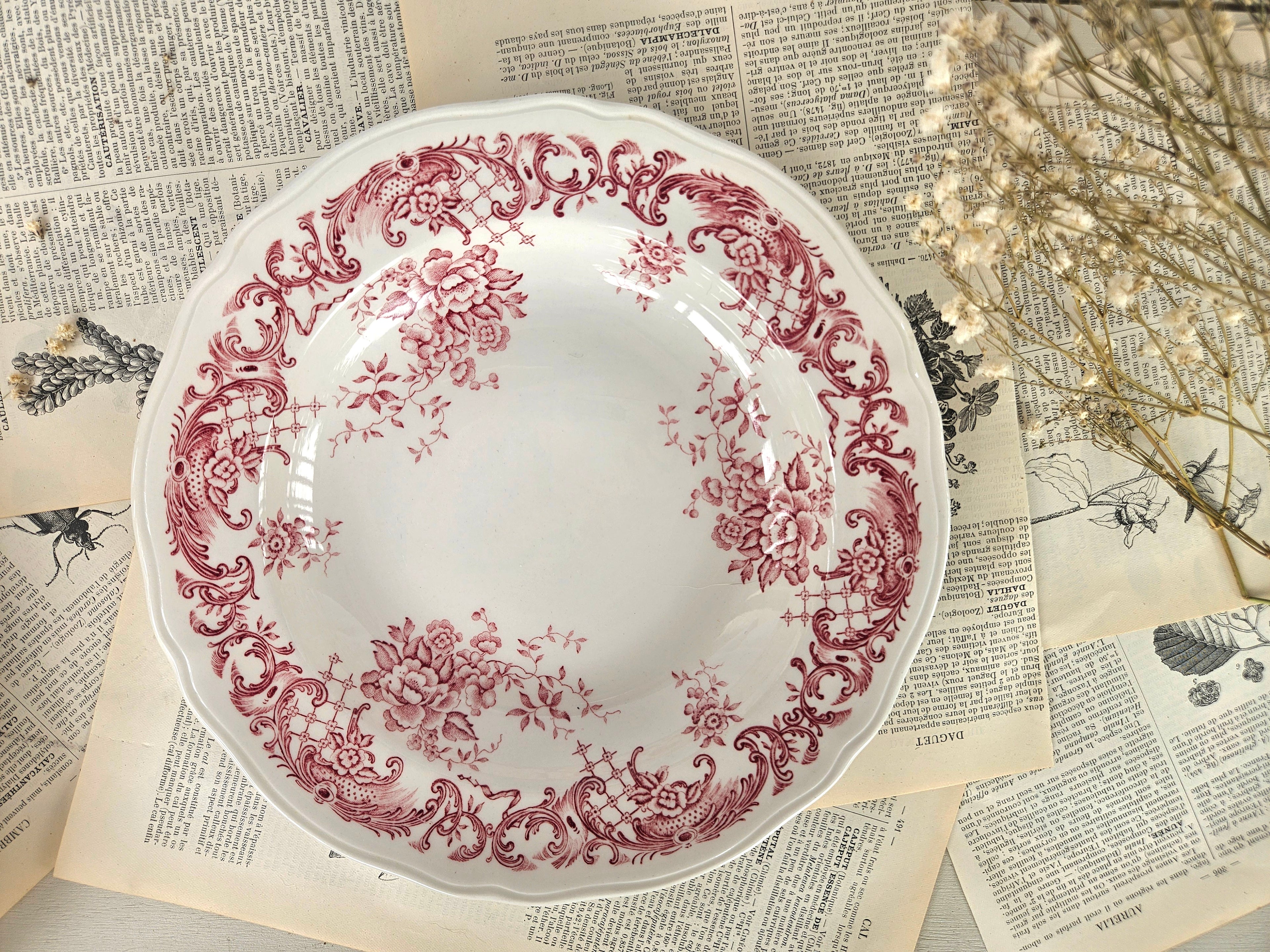 Lot de 5 assiettes creuses Villeroy & Boch Valeria