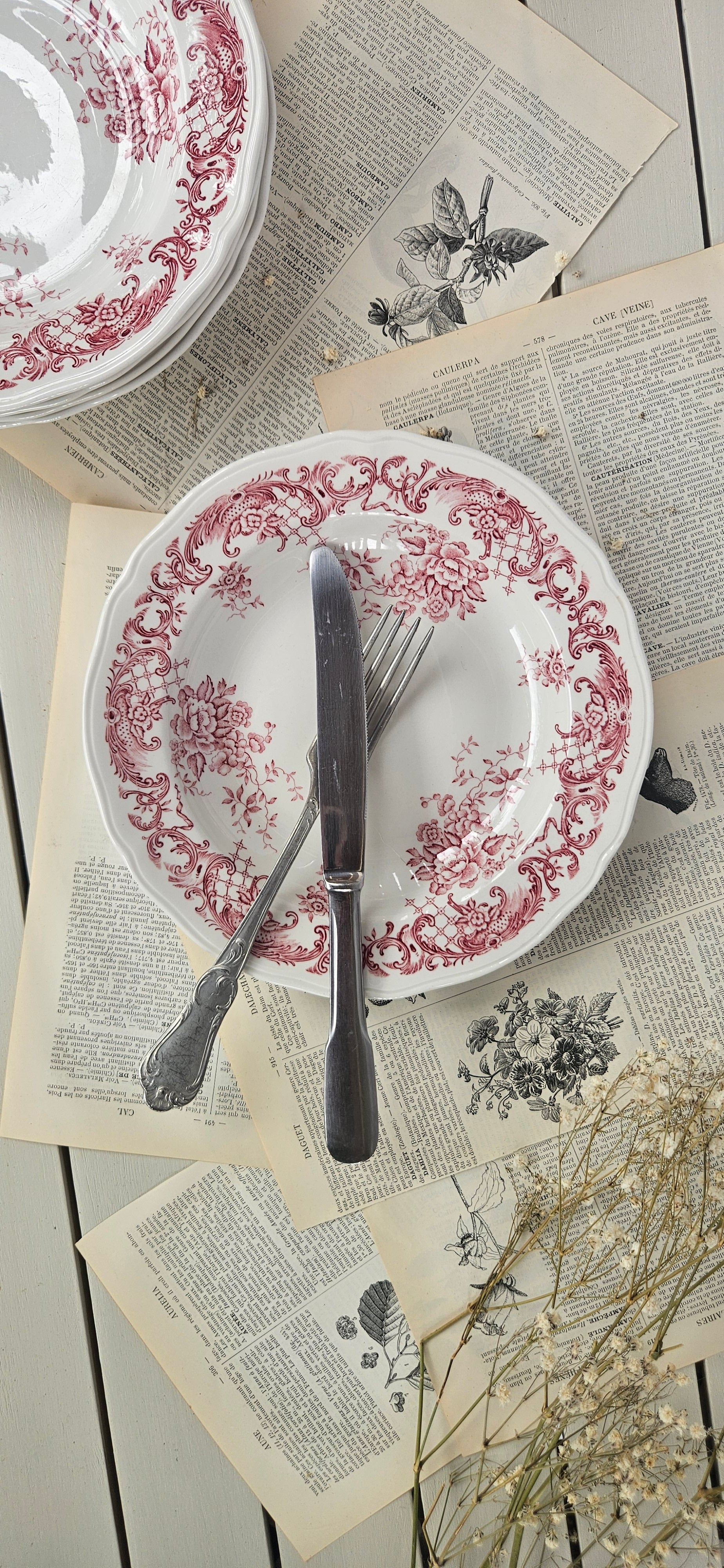 Lot de 5 assiettes creuses Villeroy & Boch Valeria