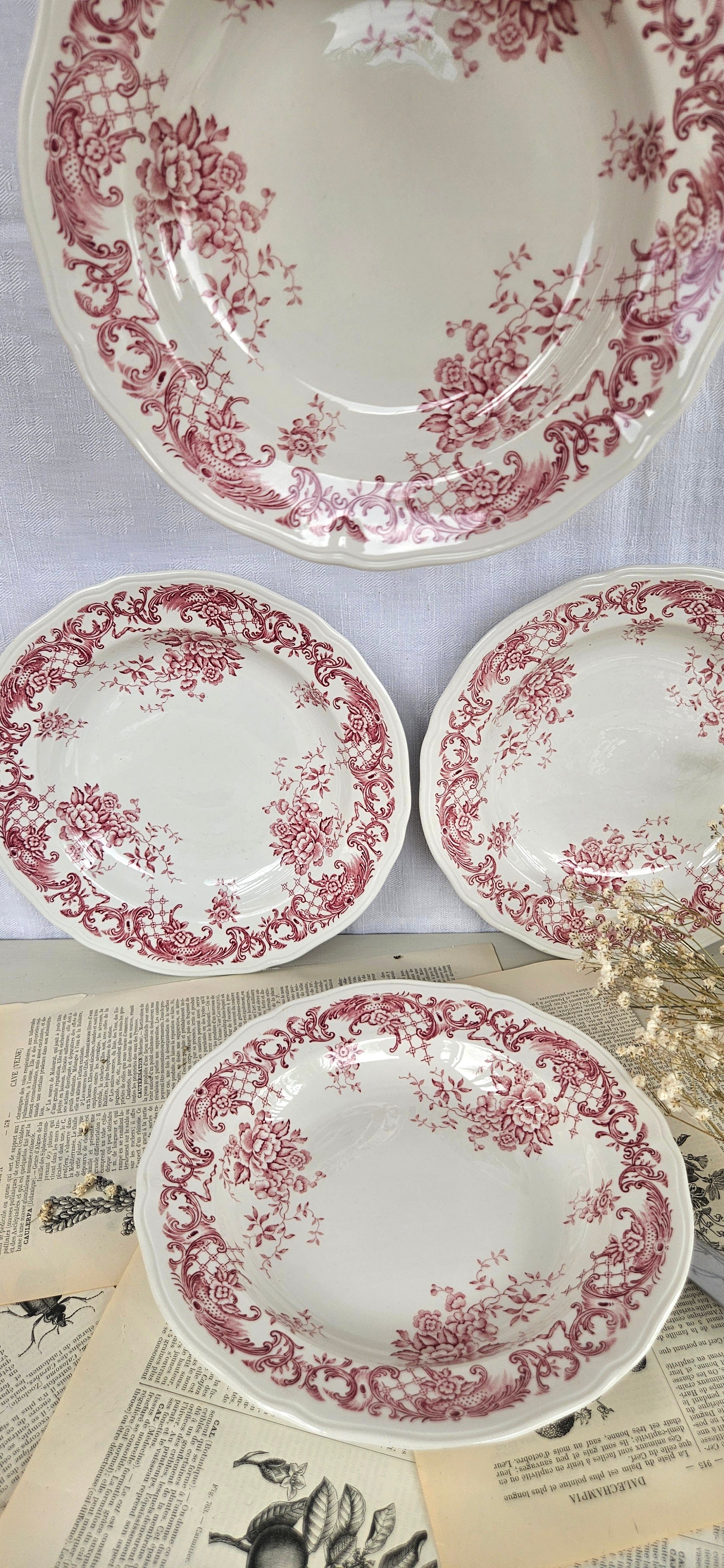 Lot de 5 assiettes creuses Villeroy & Boch Valeria