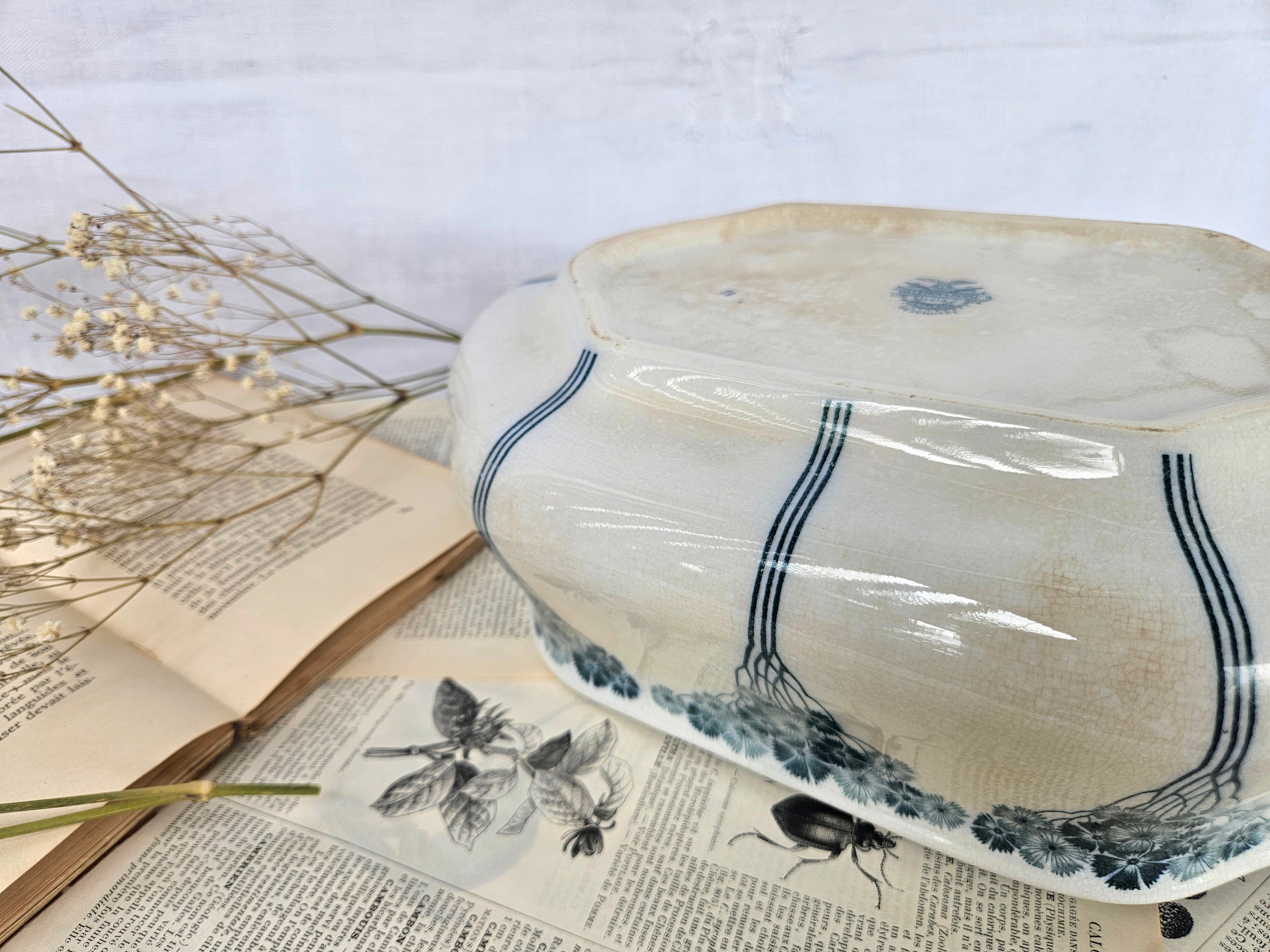 Grande soupière ancienne Villeroy & Boch modèle Livia | Terre de fer