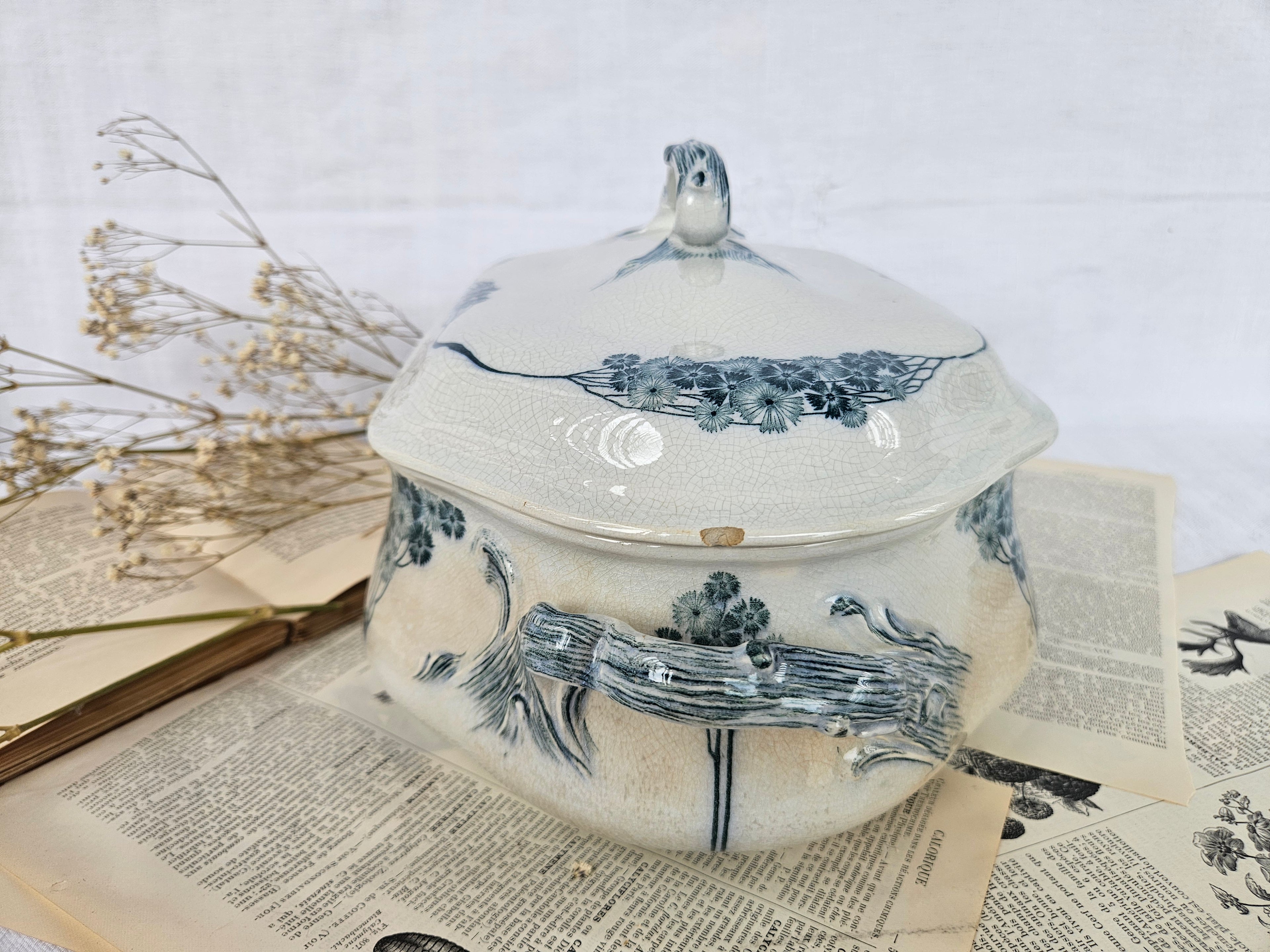Grande soupière ancienne Villeroy & Boch modèle Livia | Terre de fer