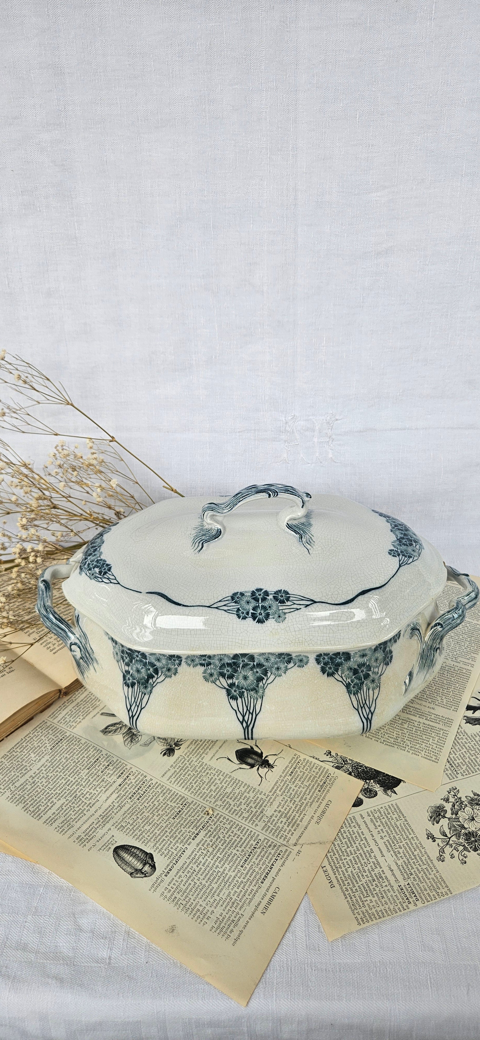 Grande soupière ancienne Villeroy & Boch modèle Livia | Terre de fer