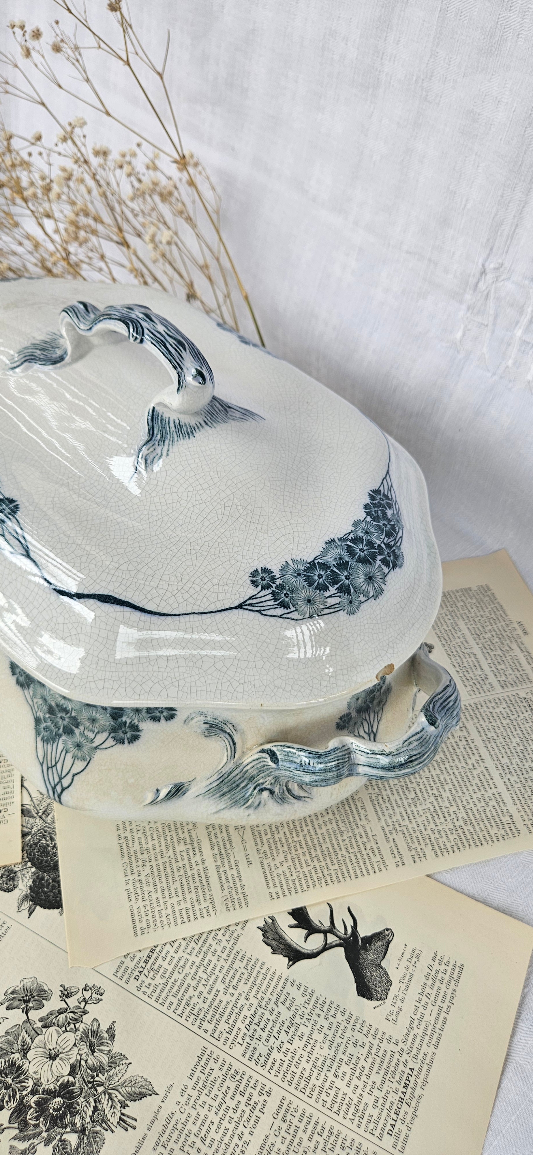 Grande soupière ancienne Villeroy & Boch modèle Livia | Terre de fer