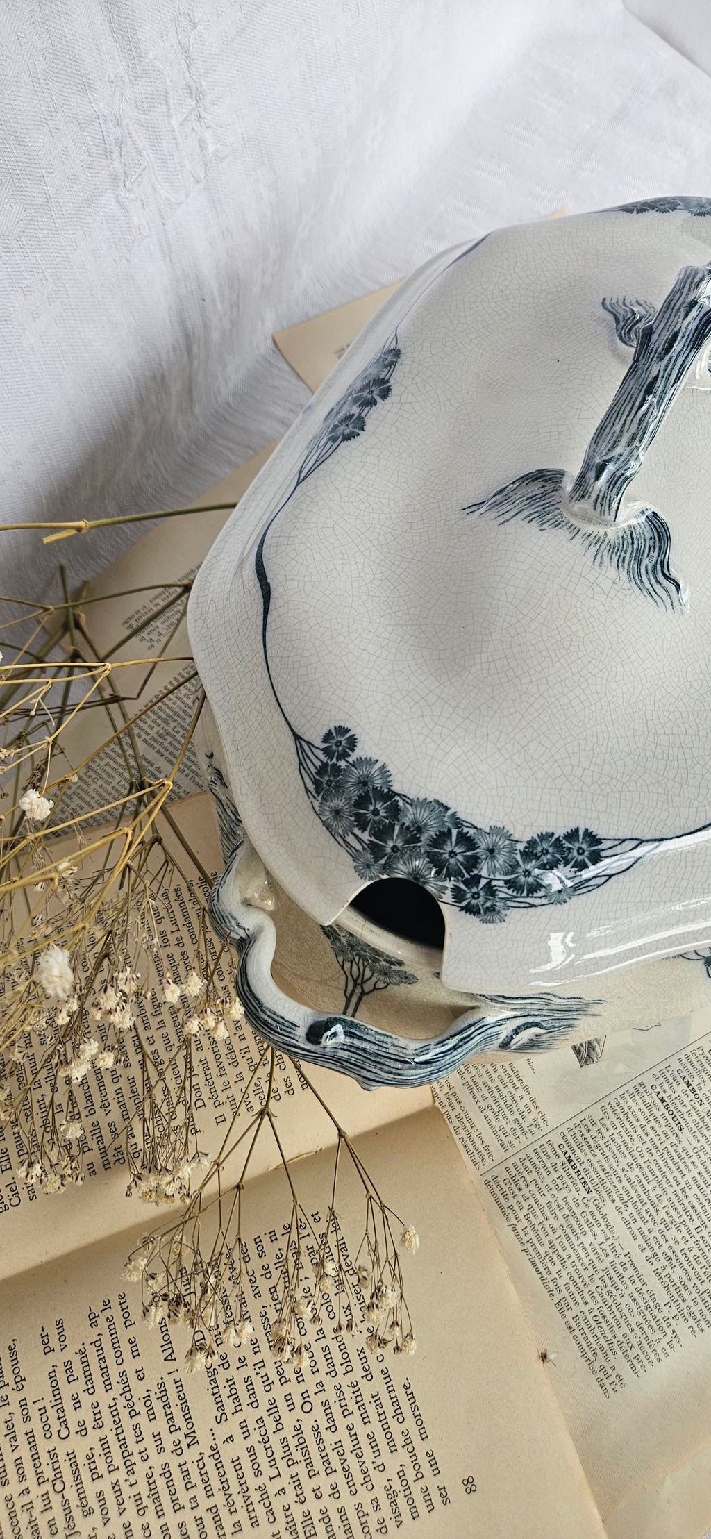 Grande soupière ancienne Villeroy & Boch modèle Livia | Terre de fer