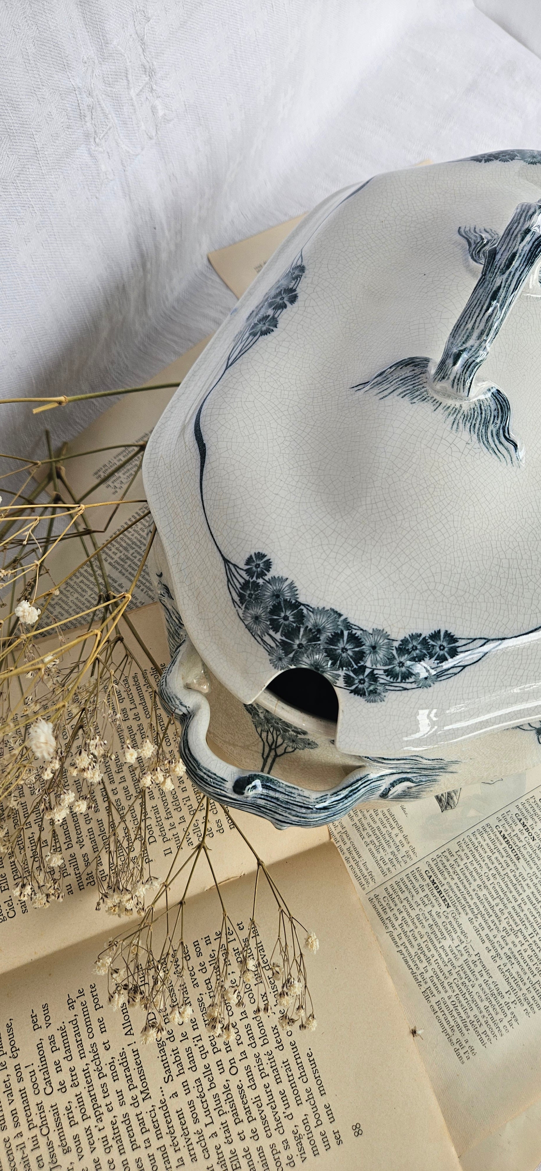 Grande soupière ancienne Villeroy & Boch modèle Livia | Terre de fer