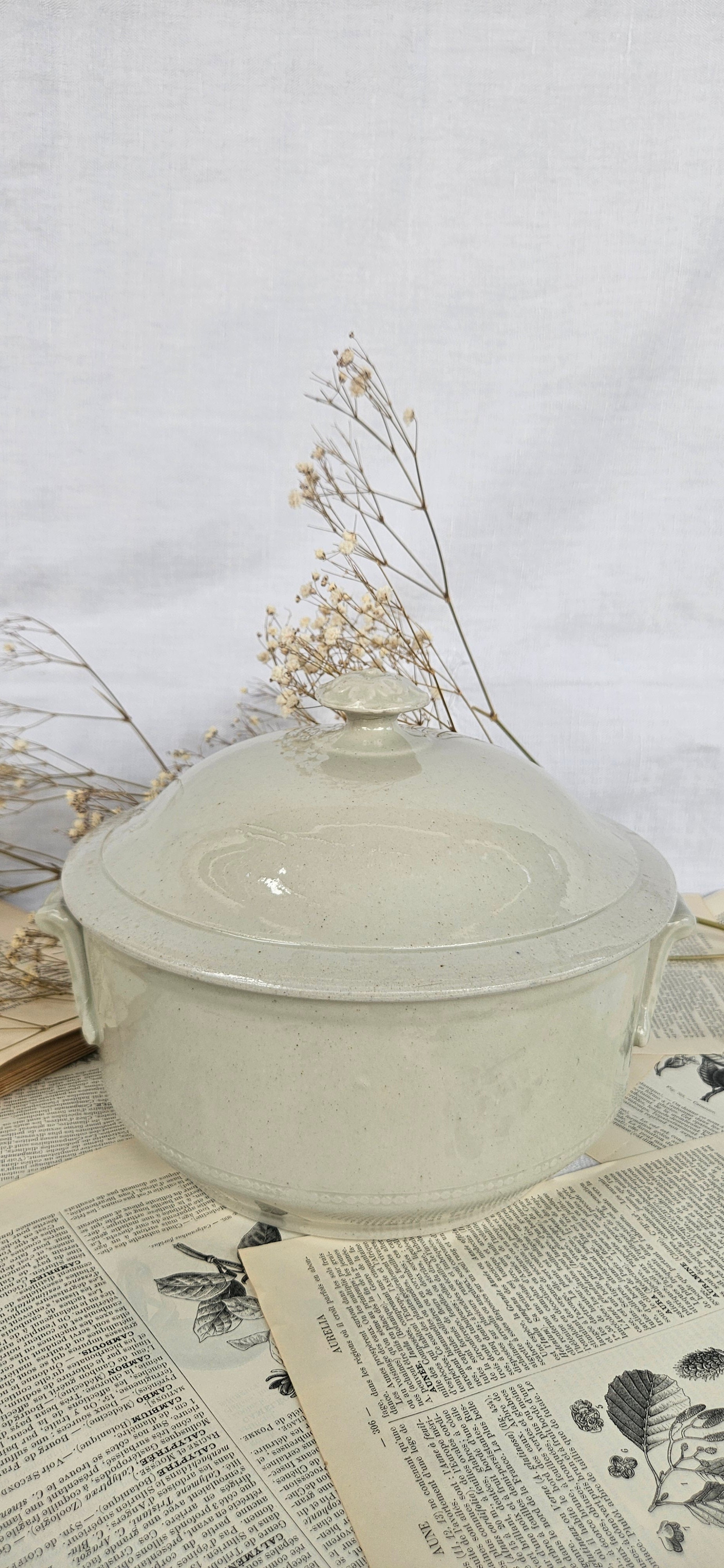 Petite soupière ancienne en faïence crème avec couvercle