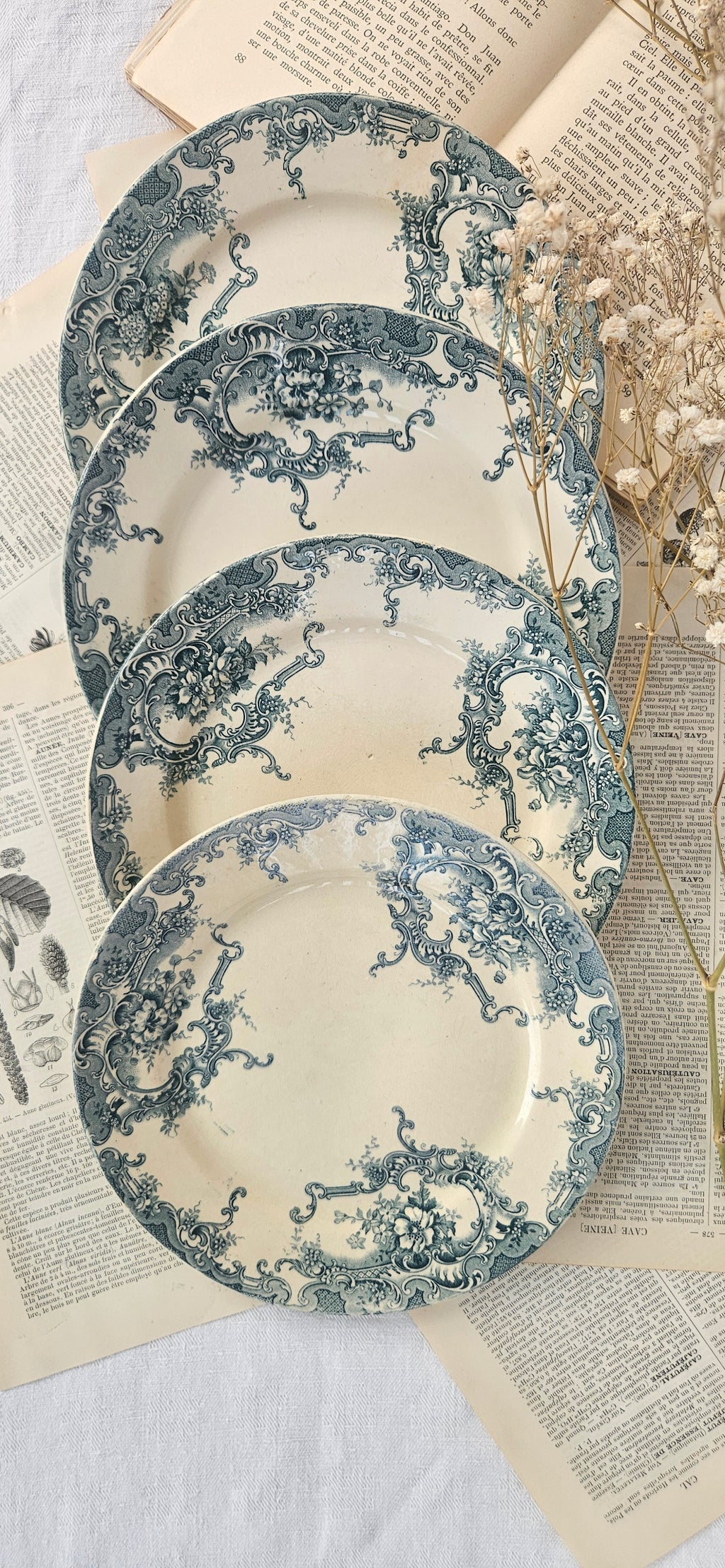 4 assiettes à dessert anciennes Terre de Fer BFK Boch Frères Keramis modèle Dauphin