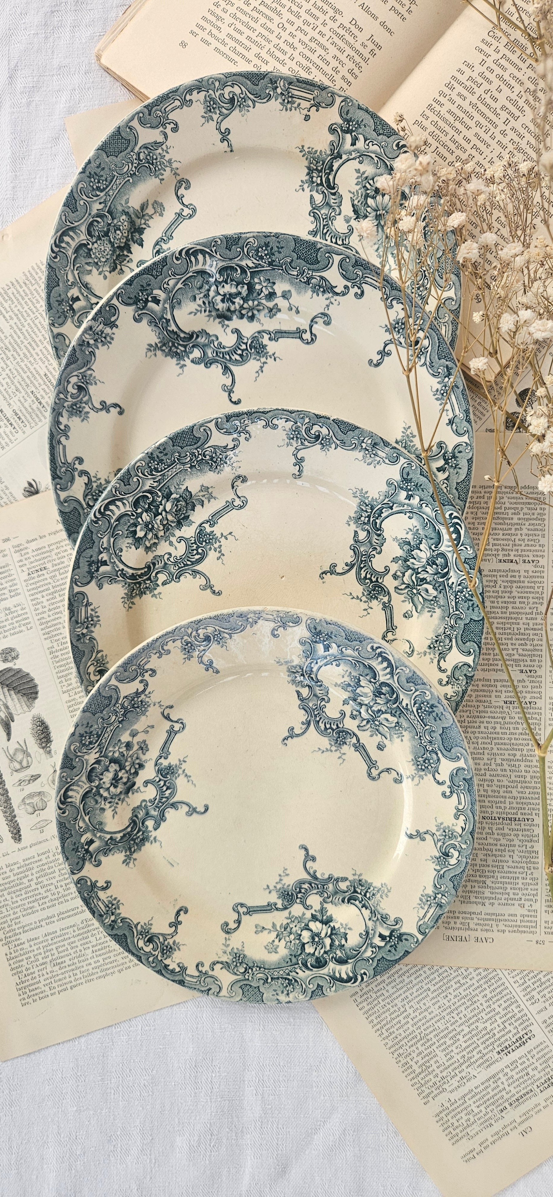 4 assiettes à dessert anciennes Terre de Fer BFK Boch Frères Keramis modèle Dauphin