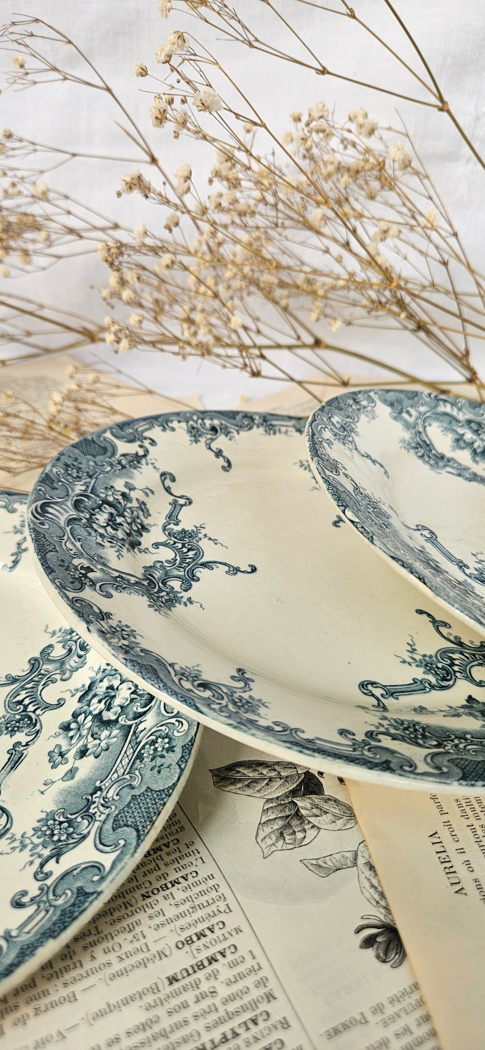 4 assiettes à dessert anciennes Terre de Fer BFK Boch Frères Keramis modèle Dauphin