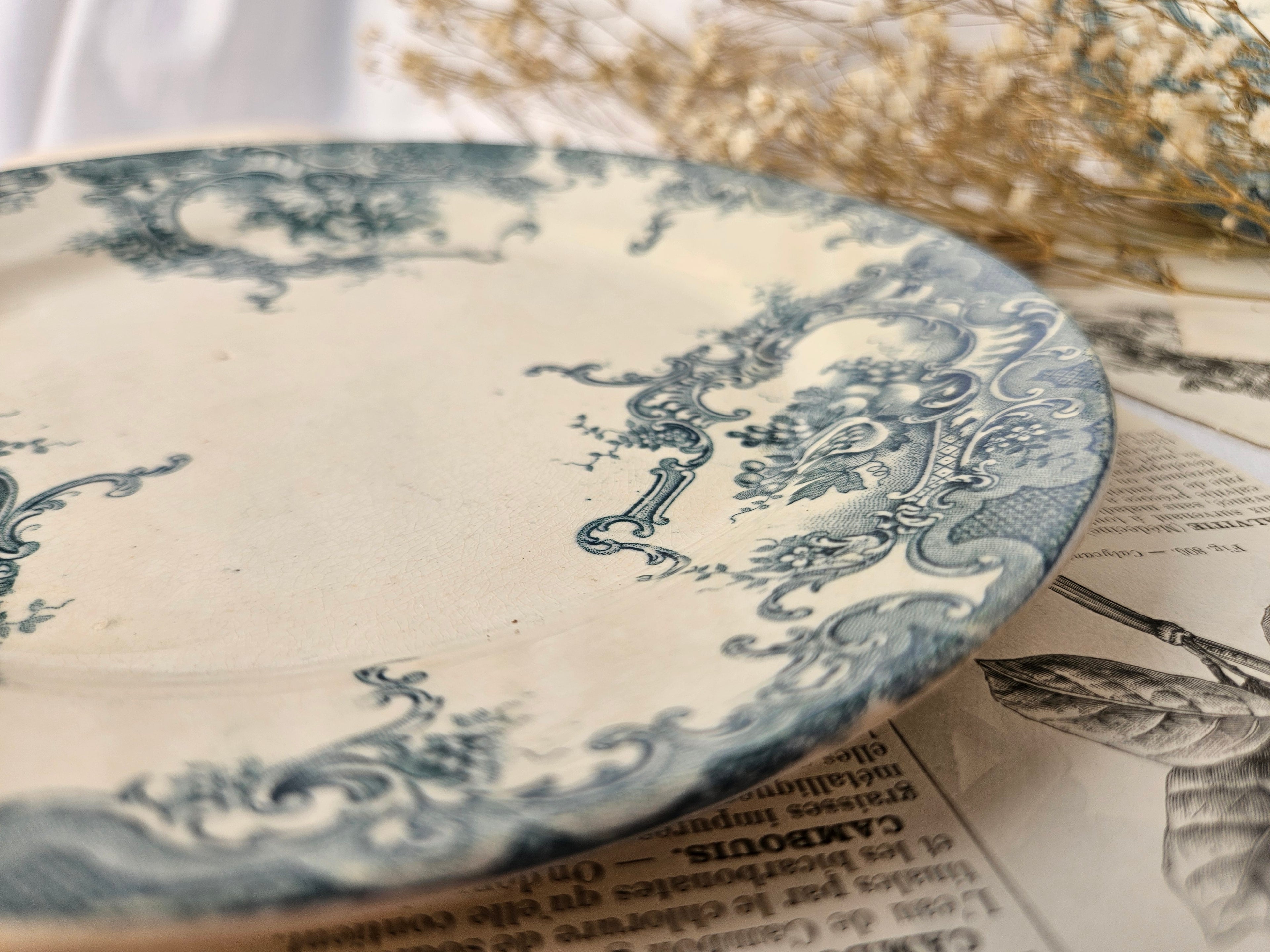 4 assiettes à dessert anciennes Terre de Fer BFK Boch Frères Keramis modèle Dauphin