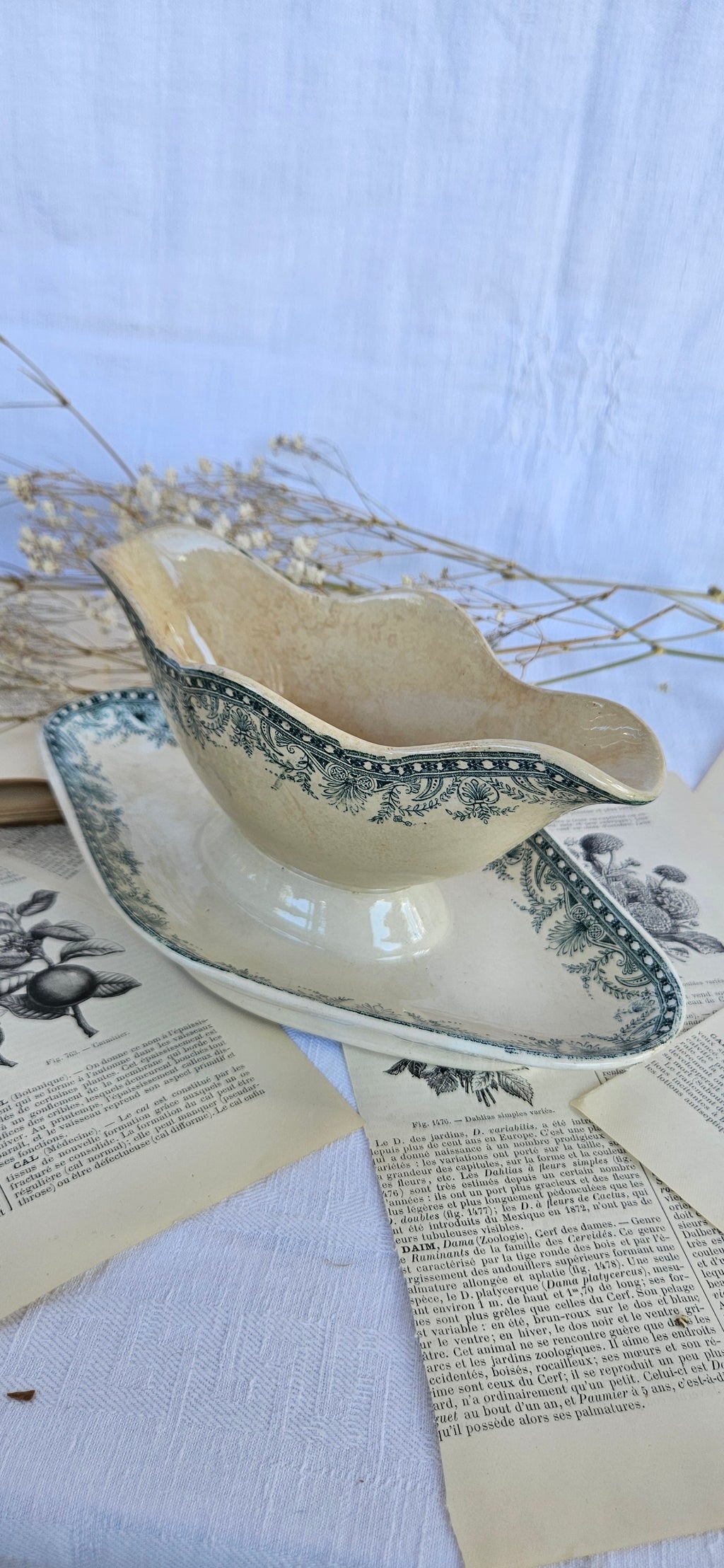 Saucière ancienne Moulin des Loups Wilbur | Terre de fer française
