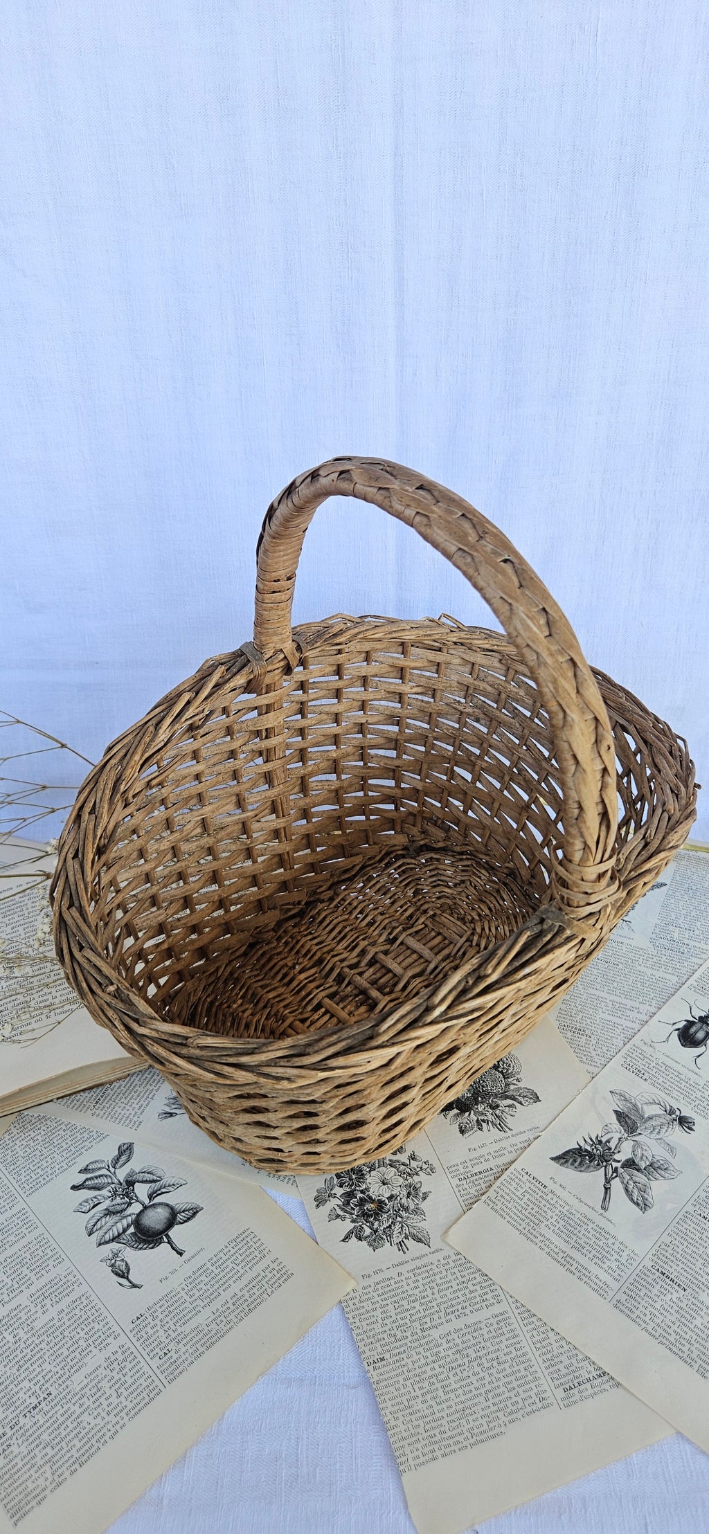 petit panier en osier tressé | Panier de marché vintage | Vannerie française