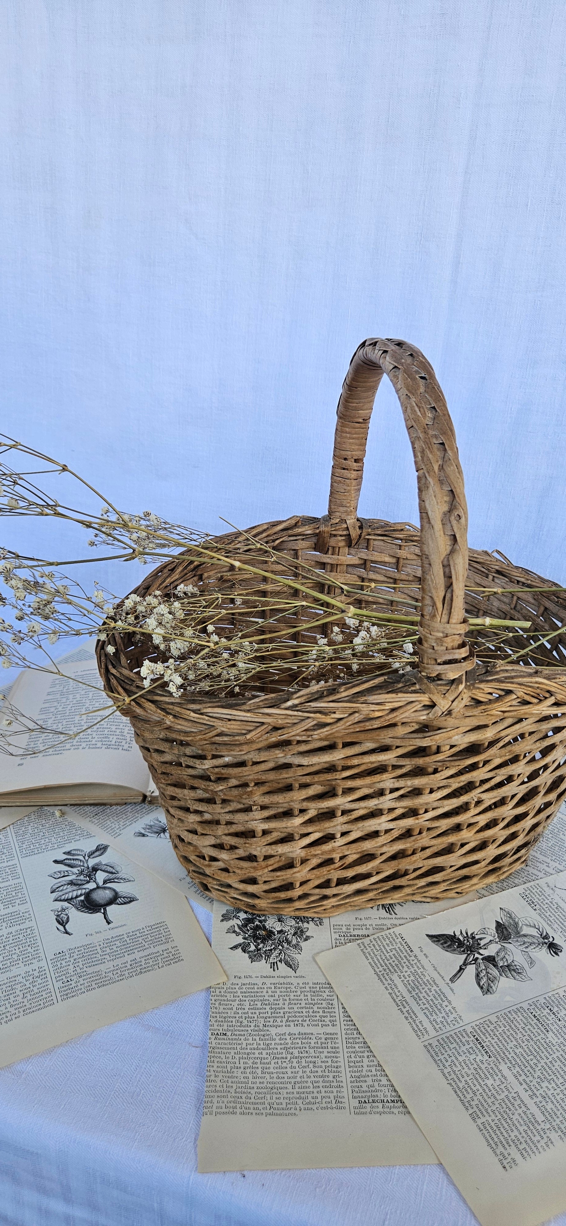 petit panier en osier tressé | Panier de marché vintage | Vannerie française