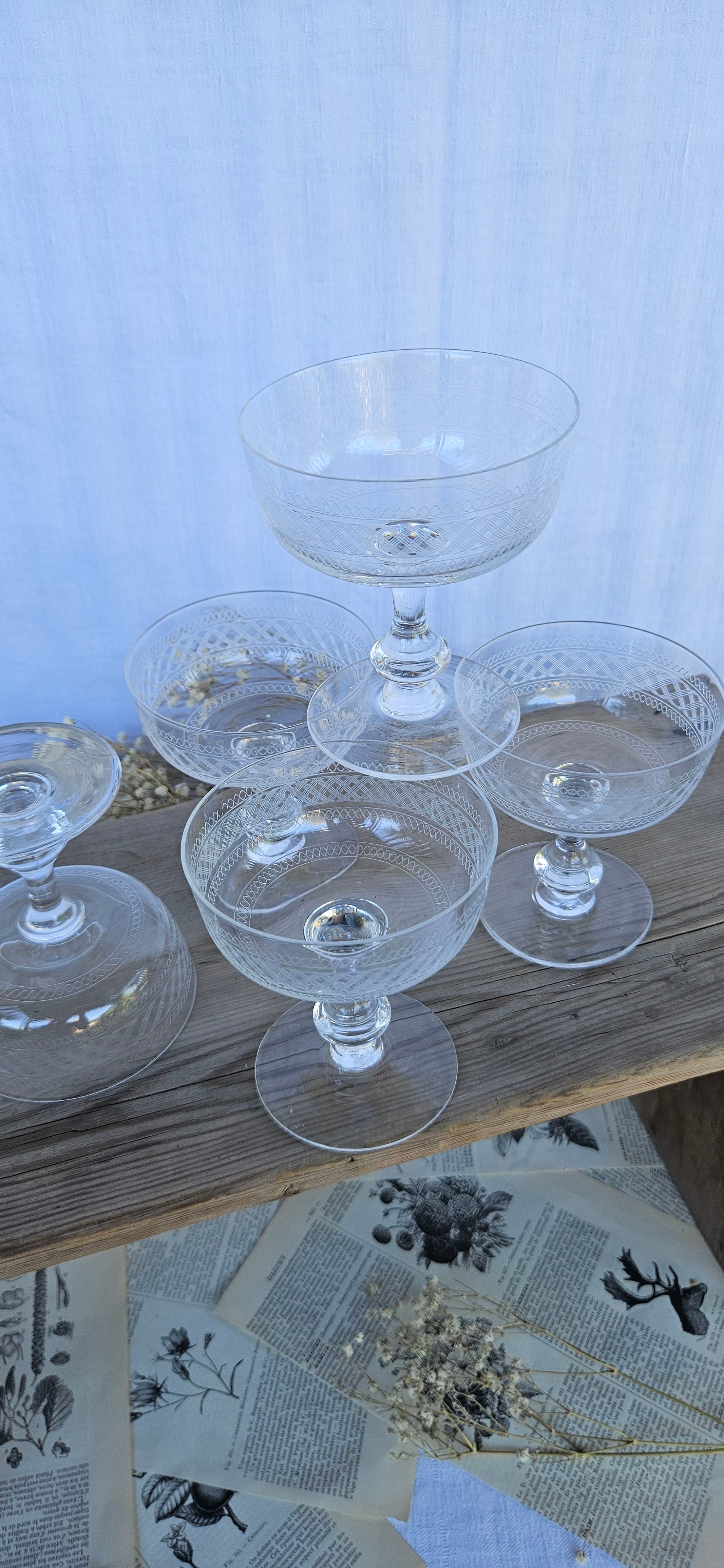 Lot de 5 coupes à champagne anciennes en verre gravé