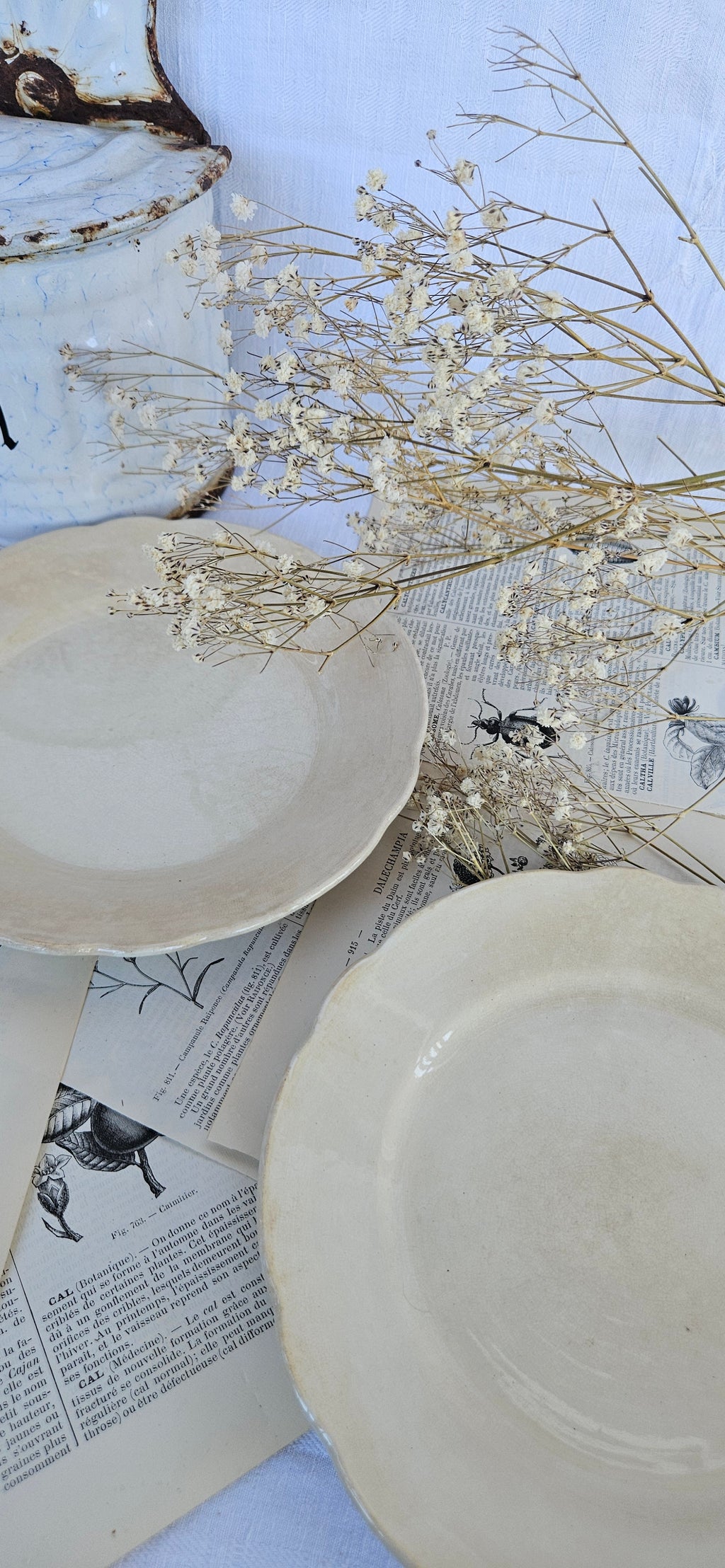 Duo d'assiettes à dessert anciennes Boch La Louvière | Faïence belge ivoire